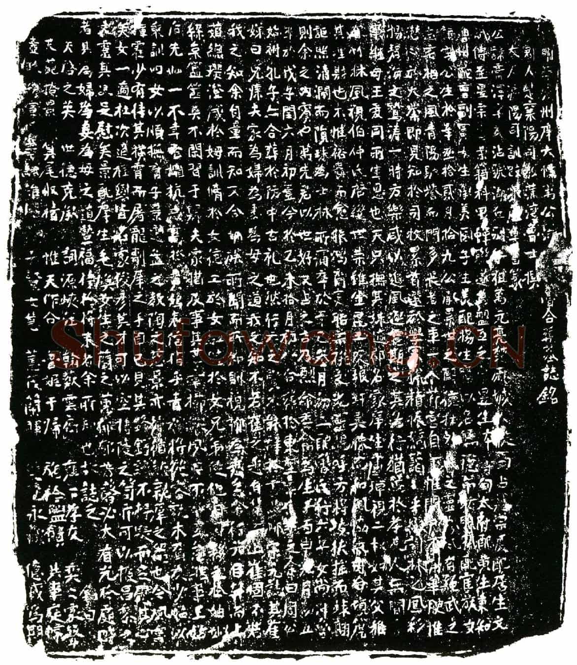明万氏夫妇，万公讳膏泽，字民沾，号湖丘。其妇鲁氏墓誌(明崇庆州庠大儒万公湖□（丘）□（配）鲁合葬墓誌铭)