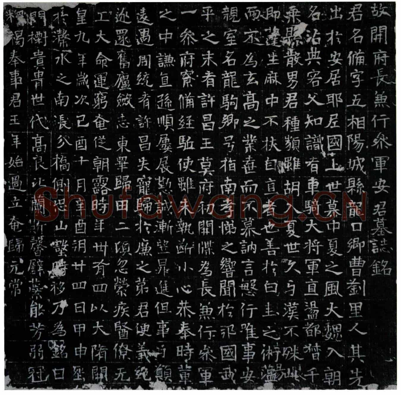 隋安备墓誌(故开府长兼行参军安君墓誌铭)