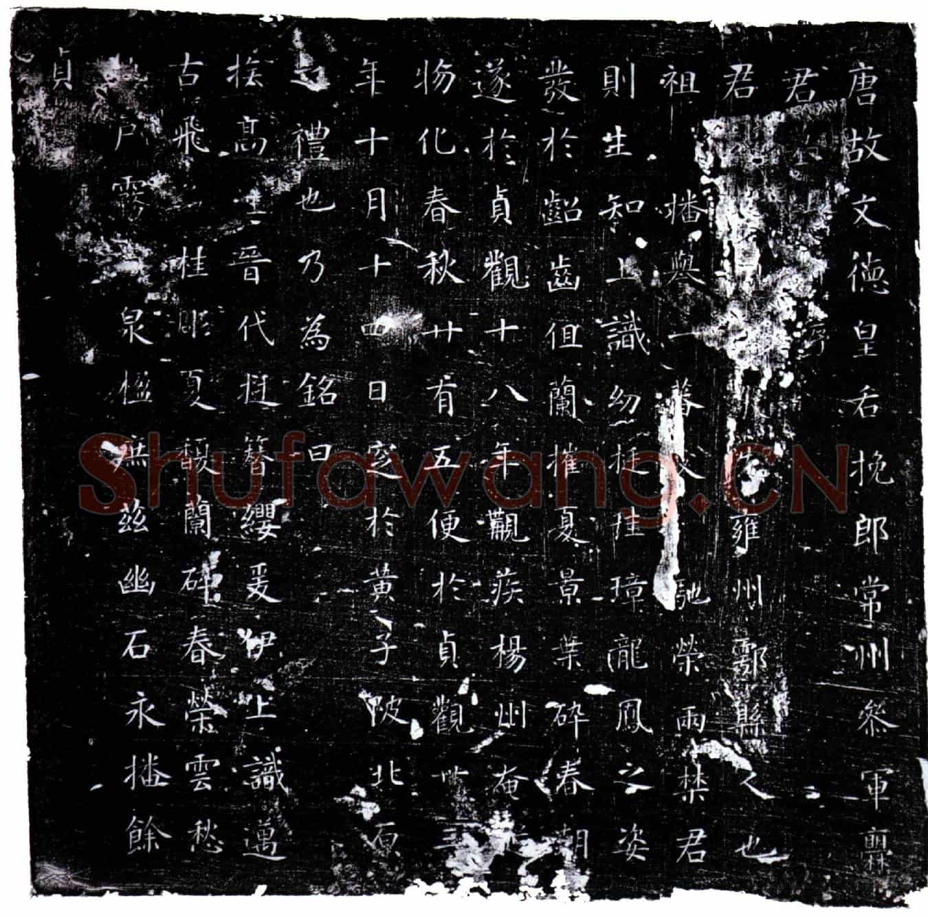 唐爨君墓誌(唐故文德皇后挽郎常州参军爨君墓誌并序)