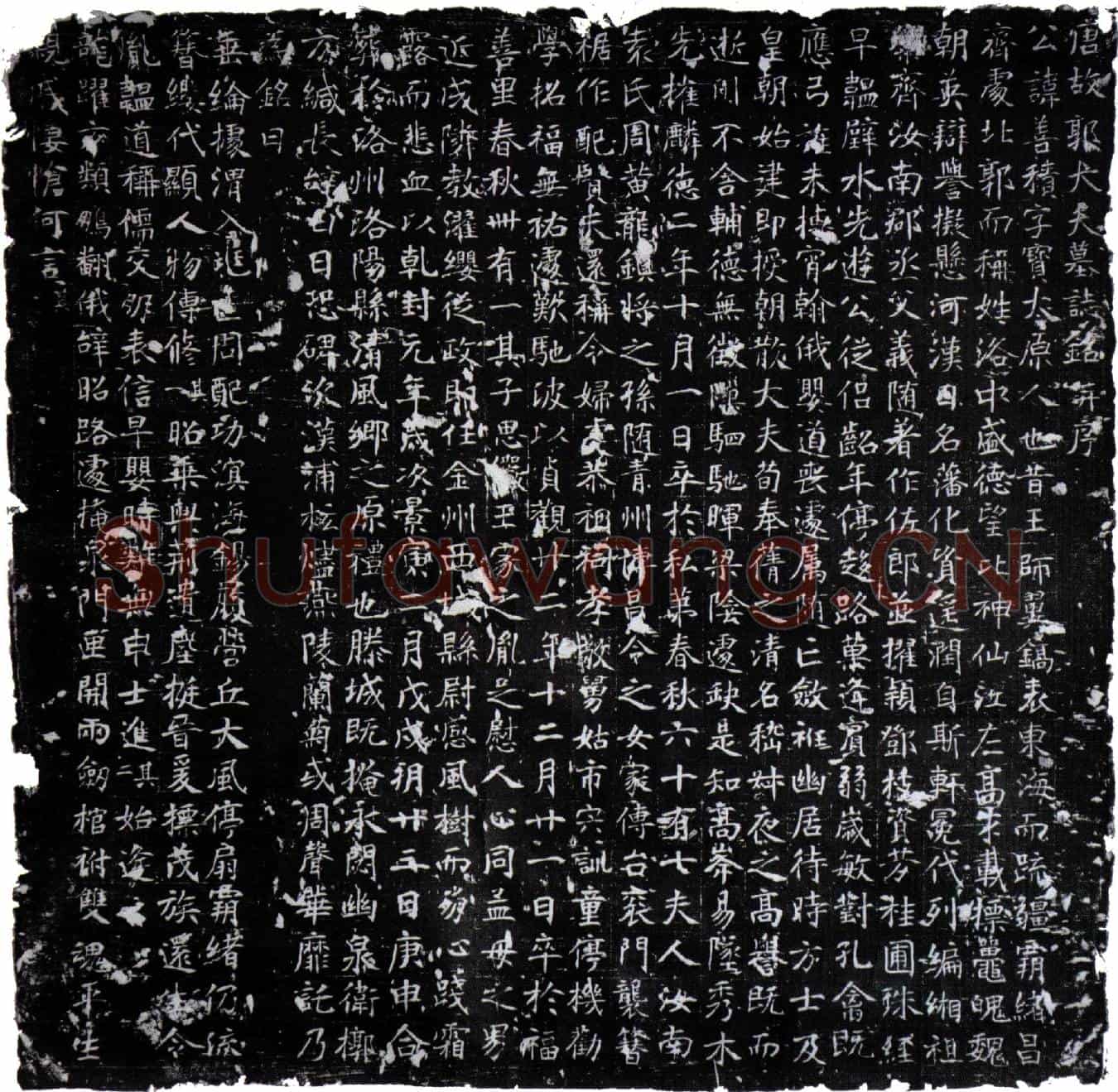 唐郭善积墓誌(唐故郭大夫墓誌铭并序)