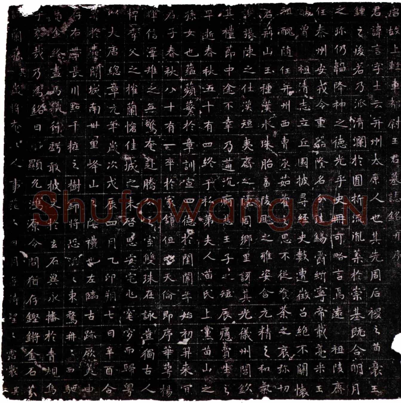 唐王言墓誌(唐故上轻车都尉王君墓誌铭并序)