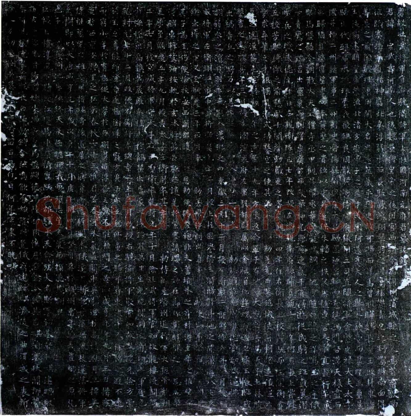 唐元武寿墓誌(唐故壮武将军守右骁卫将军上柱国河南元府君墓誌铭并序)