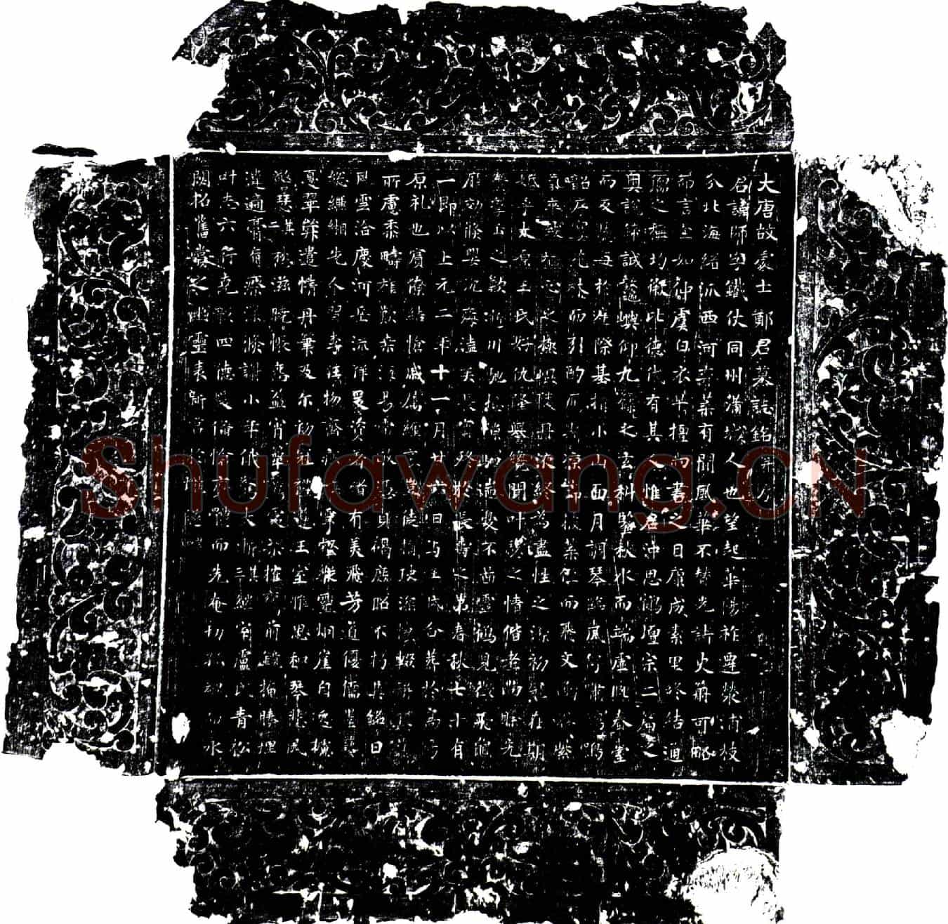 唐郑师墓誌(大唐故处士郑君墓誌铭并序)