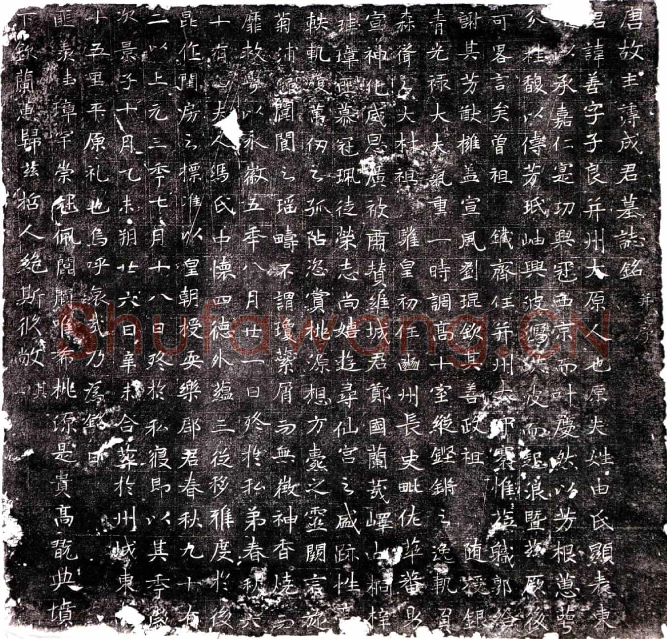 唐成善墓誌(唐故主簿成君墓誌铭并序)
