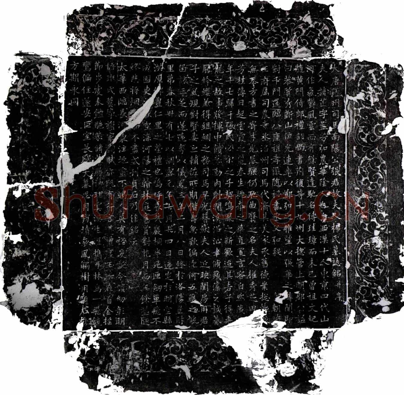 唐杨芷墓誌(大唐庐州司马南阳公张君故夫人杨氏墓誌铭并序)