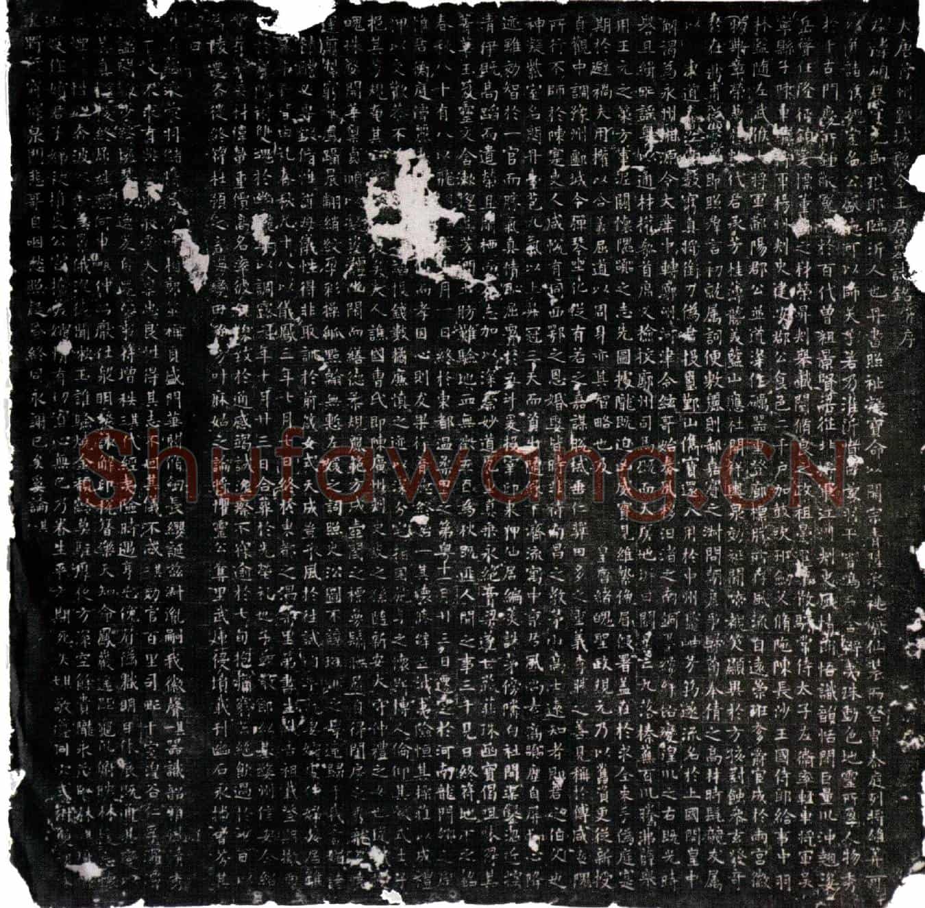 唐王硕度墓誌(大唐豫州郾城县令王君墓誌铭并序)