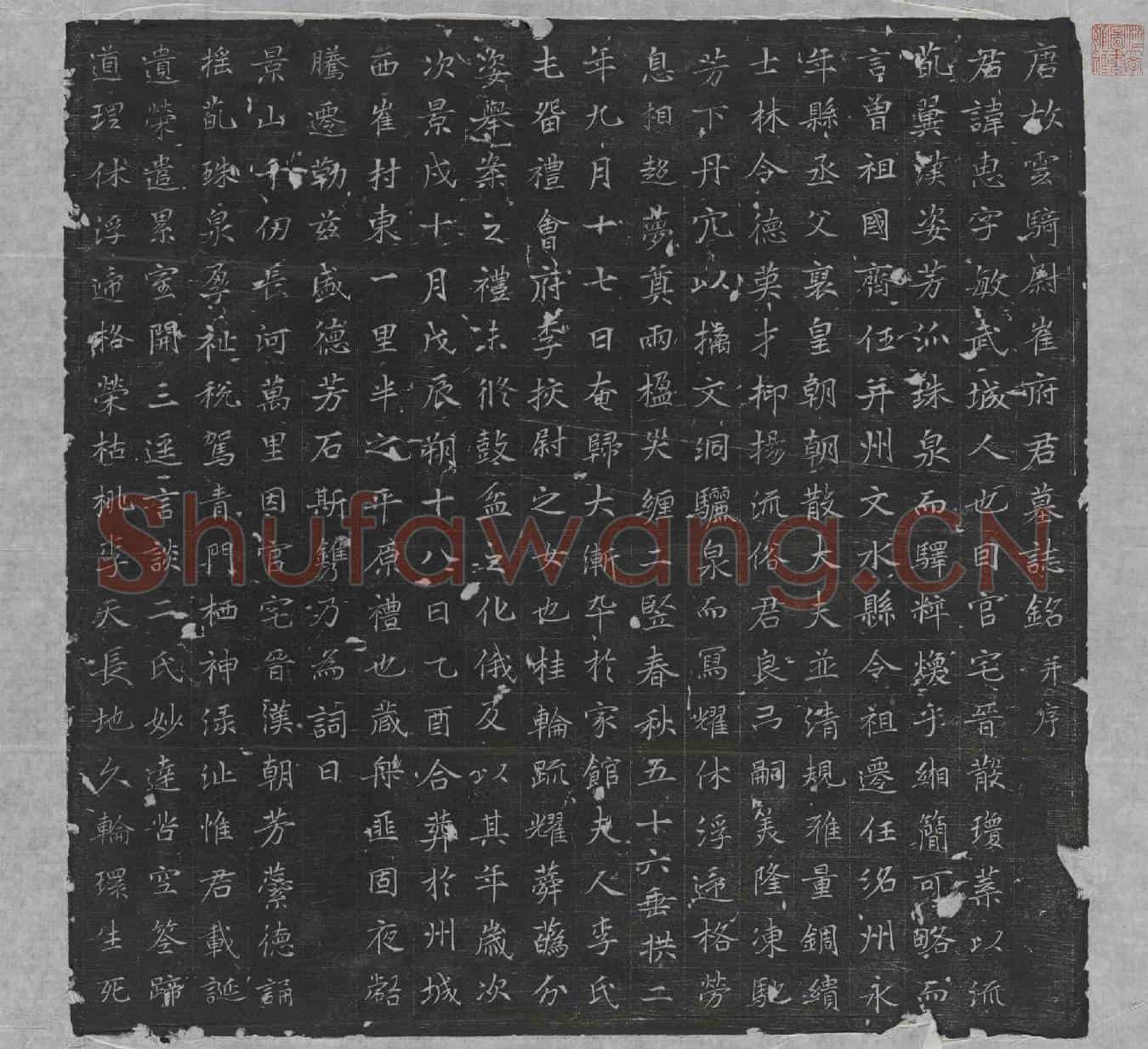 唐崔惠墓誌(唐故云骑尉崔府君墓誌铭并序)