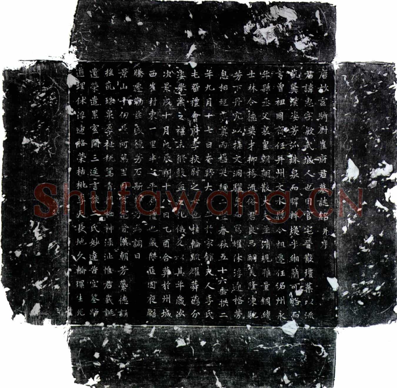 唐崔惠墓誌(唐故云骑尉崔府君墓誌铭并序)