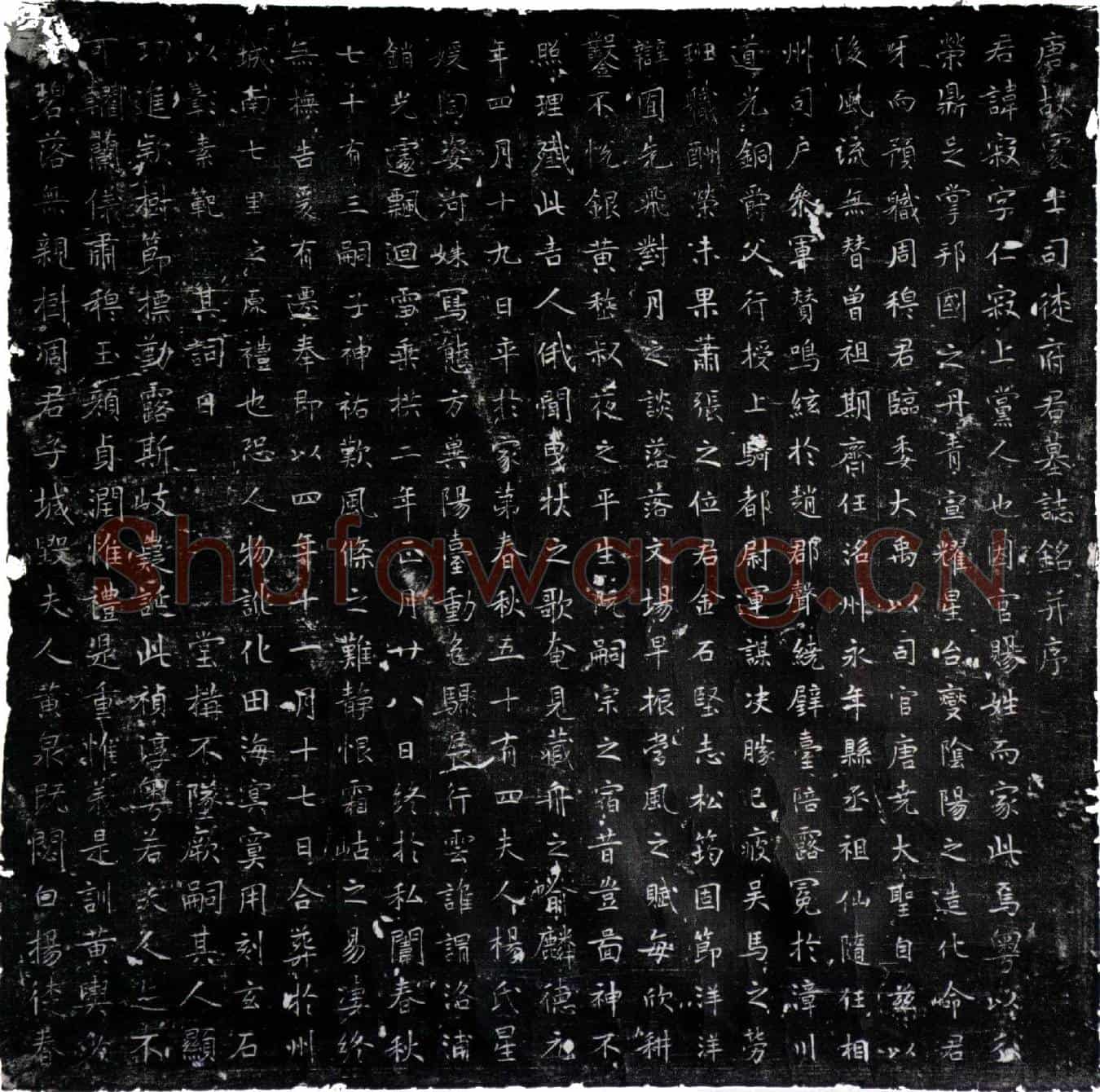 唐司徒寂墓誌(唐故处士司徒府君墓誌铭并序)