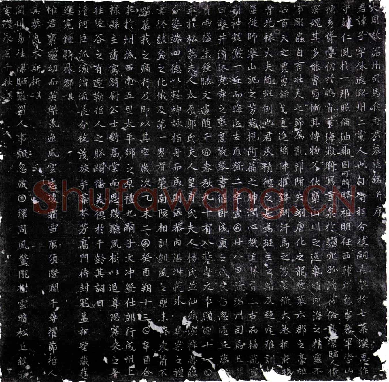 唐侯子墓誌(大周故洺州司马侯府君墓誌铭并序)