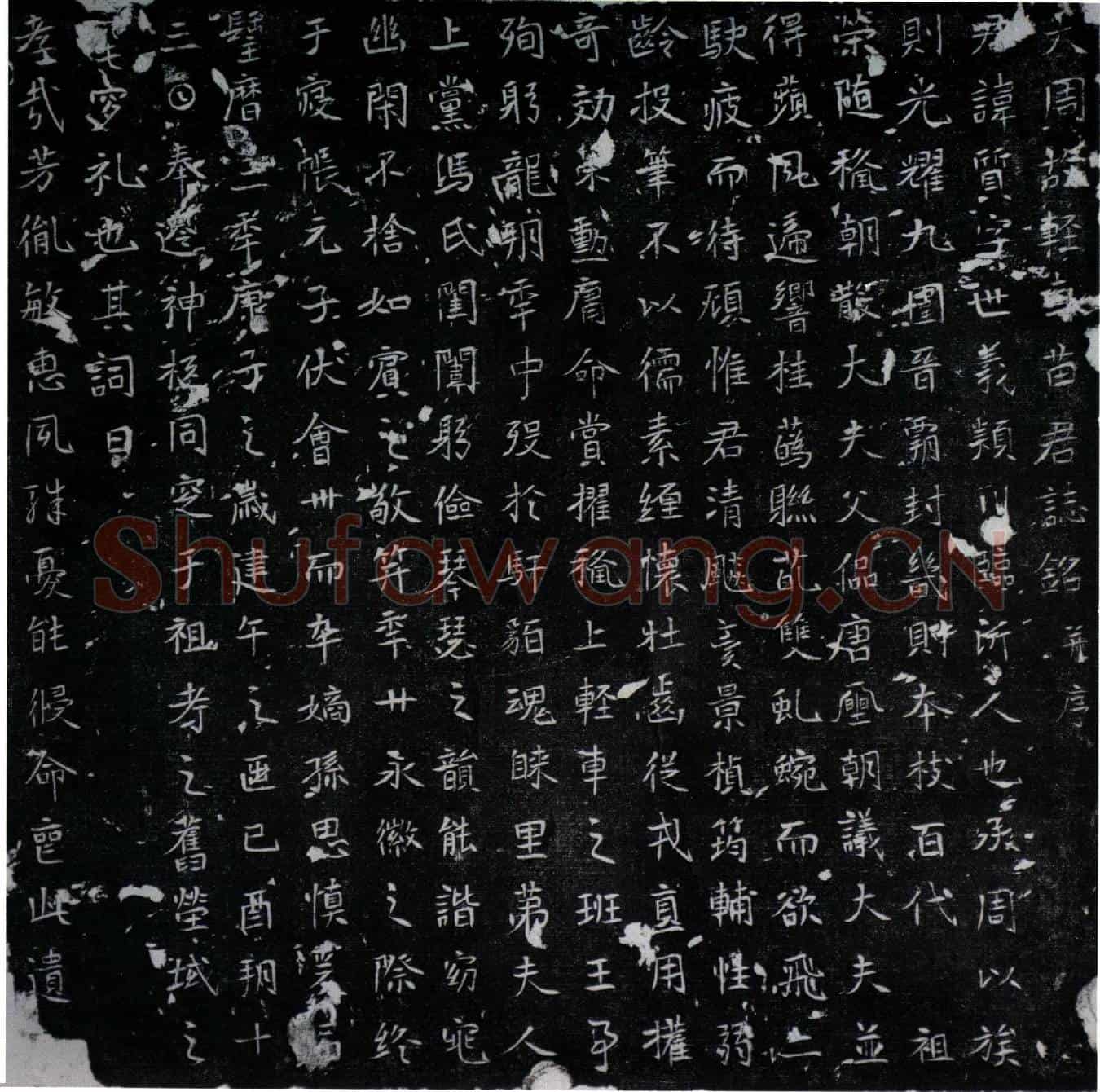 唐苗质墓誌(大周故轻车苗君誌铭并序)