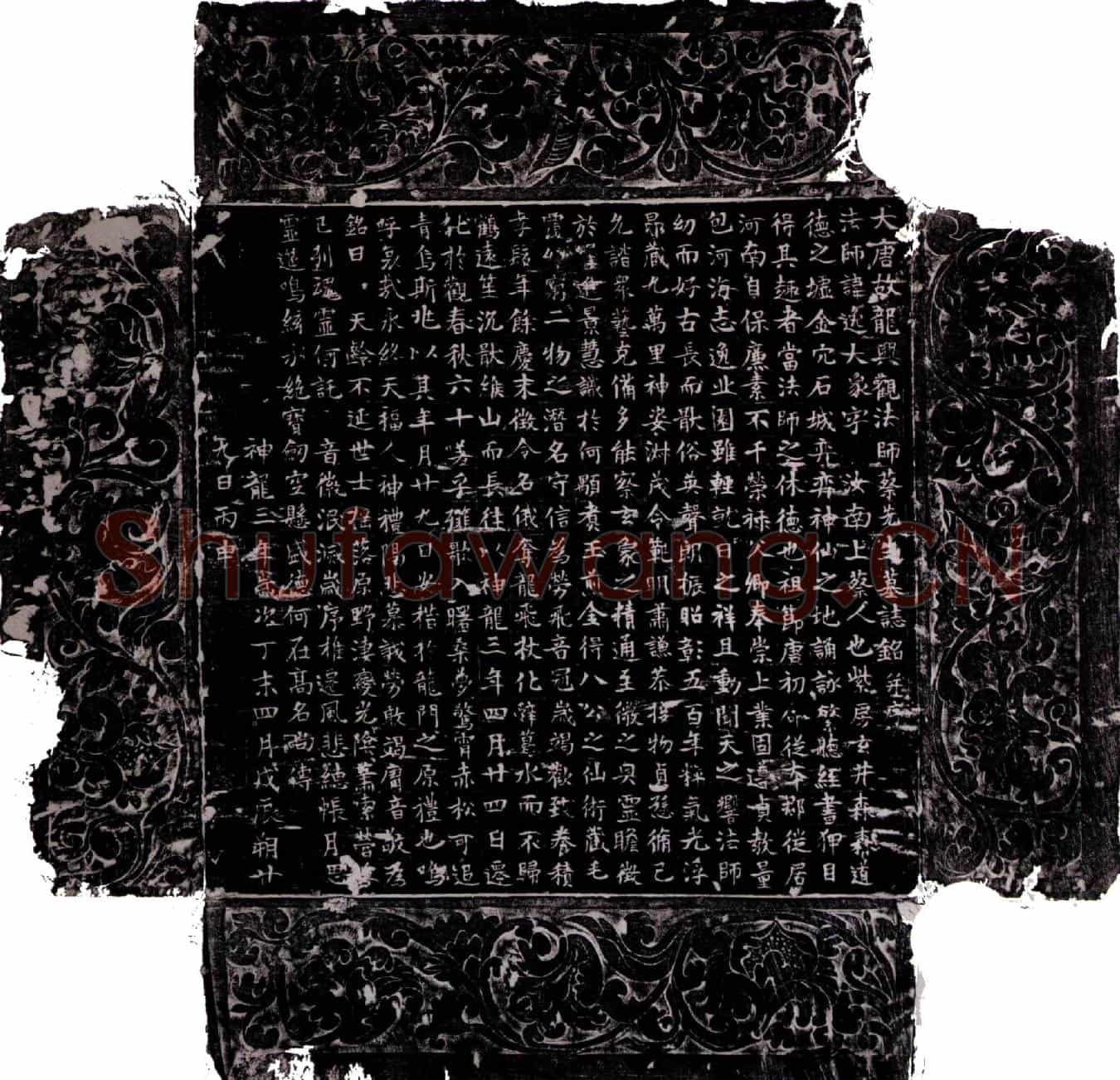 唐蔡逸墓誌(大唐故龙兴观法师蔡先生墓誌铭并序)