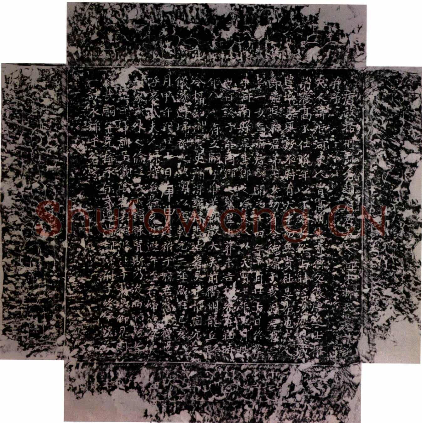 唐柳姬墓誌(唐故括州司仓赵府君夫人河东柳氏墓誌铭并序)