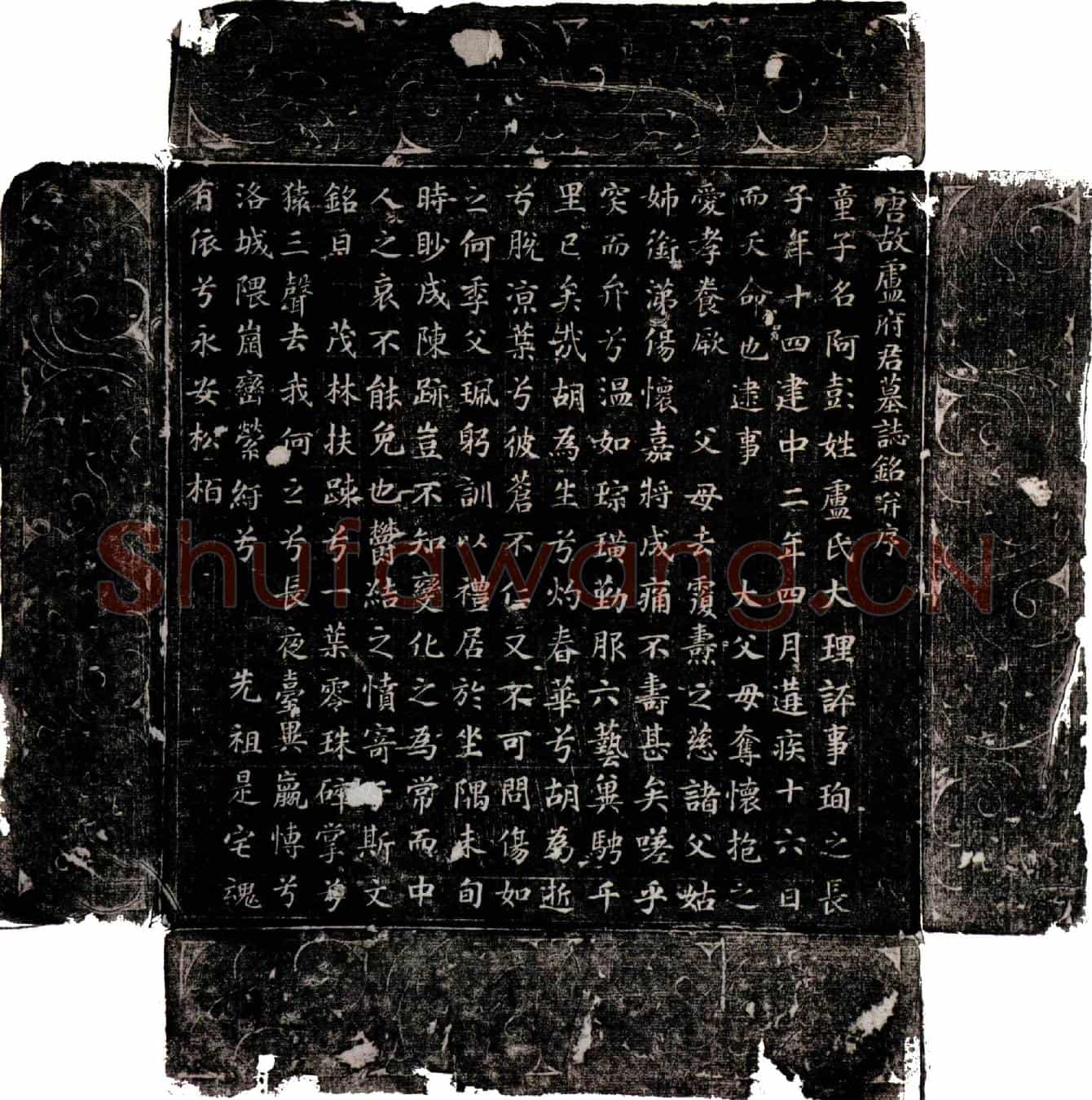 唐卢阿彭墓誌(唐故卢府君墓誌铭并序)