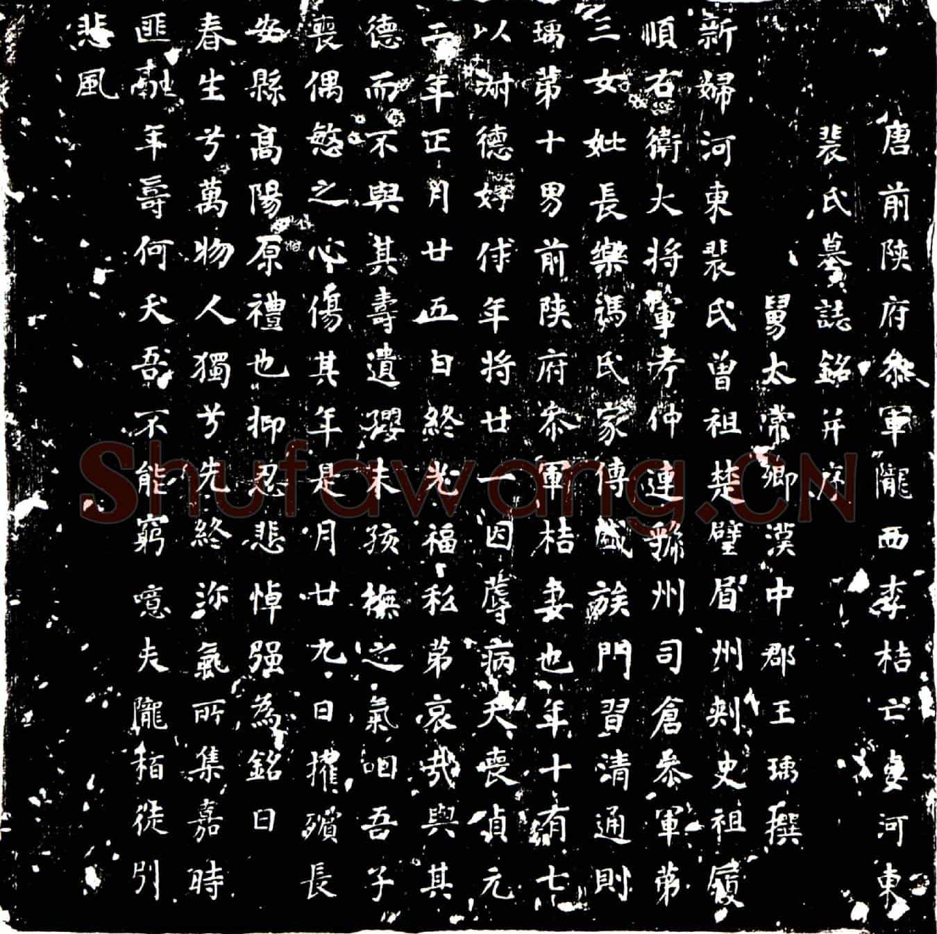 唐李桔妻裴氏墓誌(唐前陕府参军陇西李桔亡妻河东裴氏墓誌铭并序)