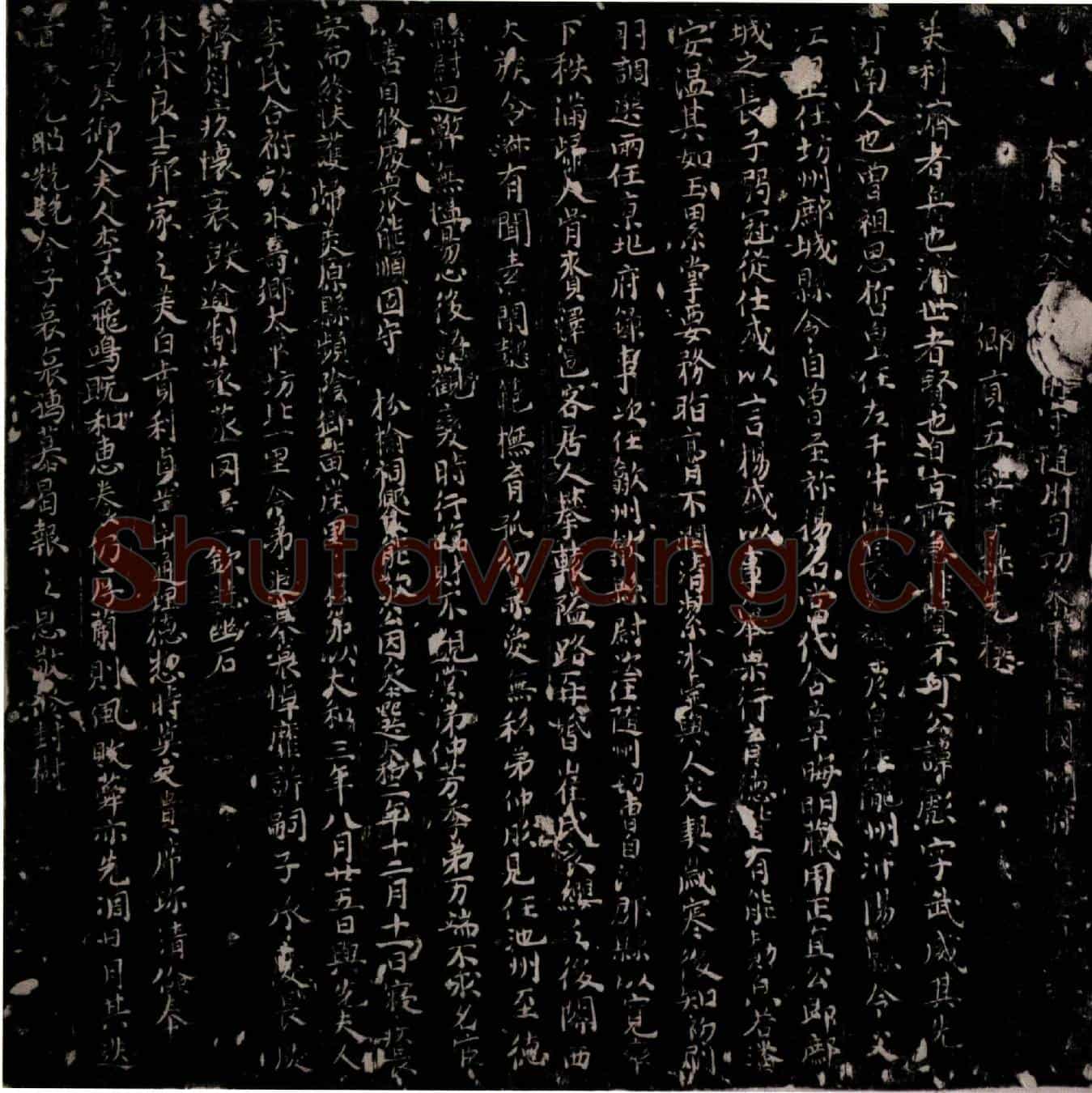 唐阎彪墓誌(大唐故登仕郎前守随州司功参军上柱国阎府君墓誌)
