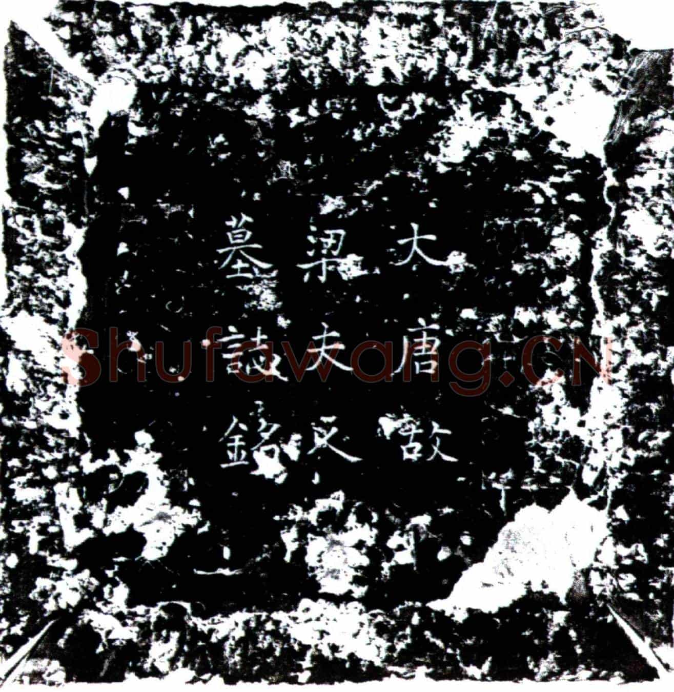 唐梁天真墓誌(唐岳州刺史韦公故夫人梁氏墓誌铭并序)