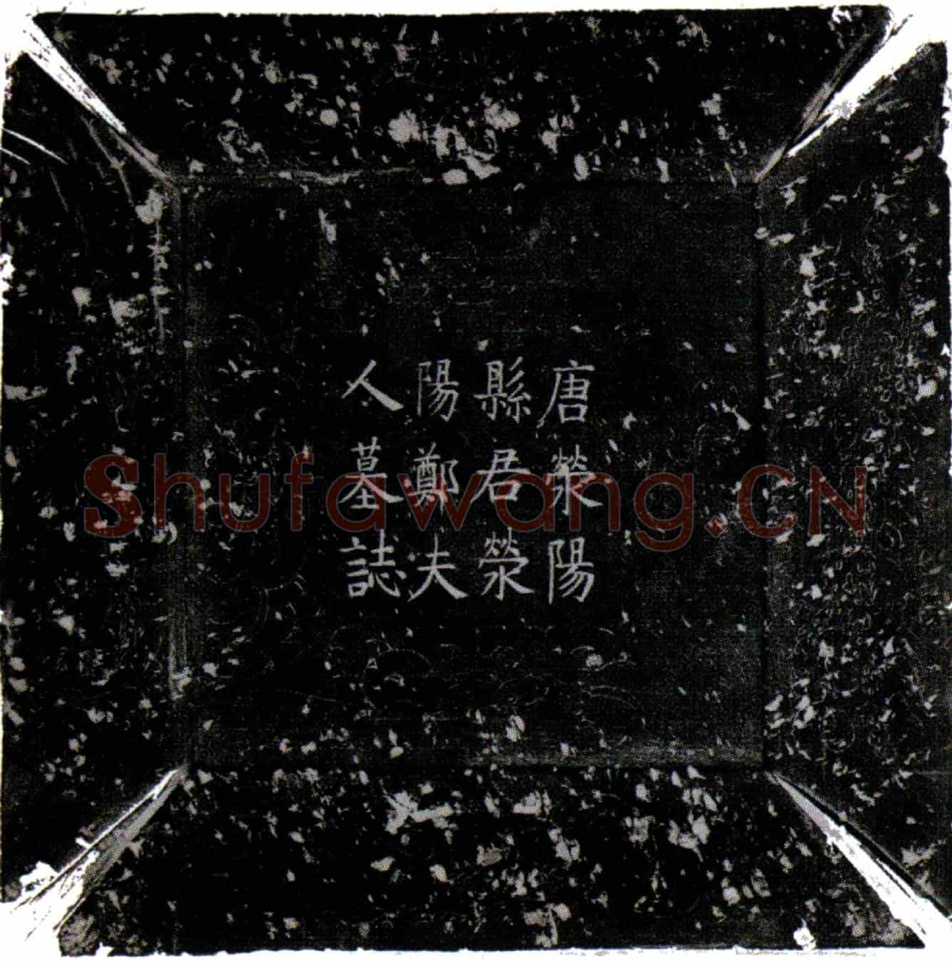 唐郑瑶墓誌(唐京兆少尹萧公亡夫人荥阳县君郑夫人墓誌铭并序)