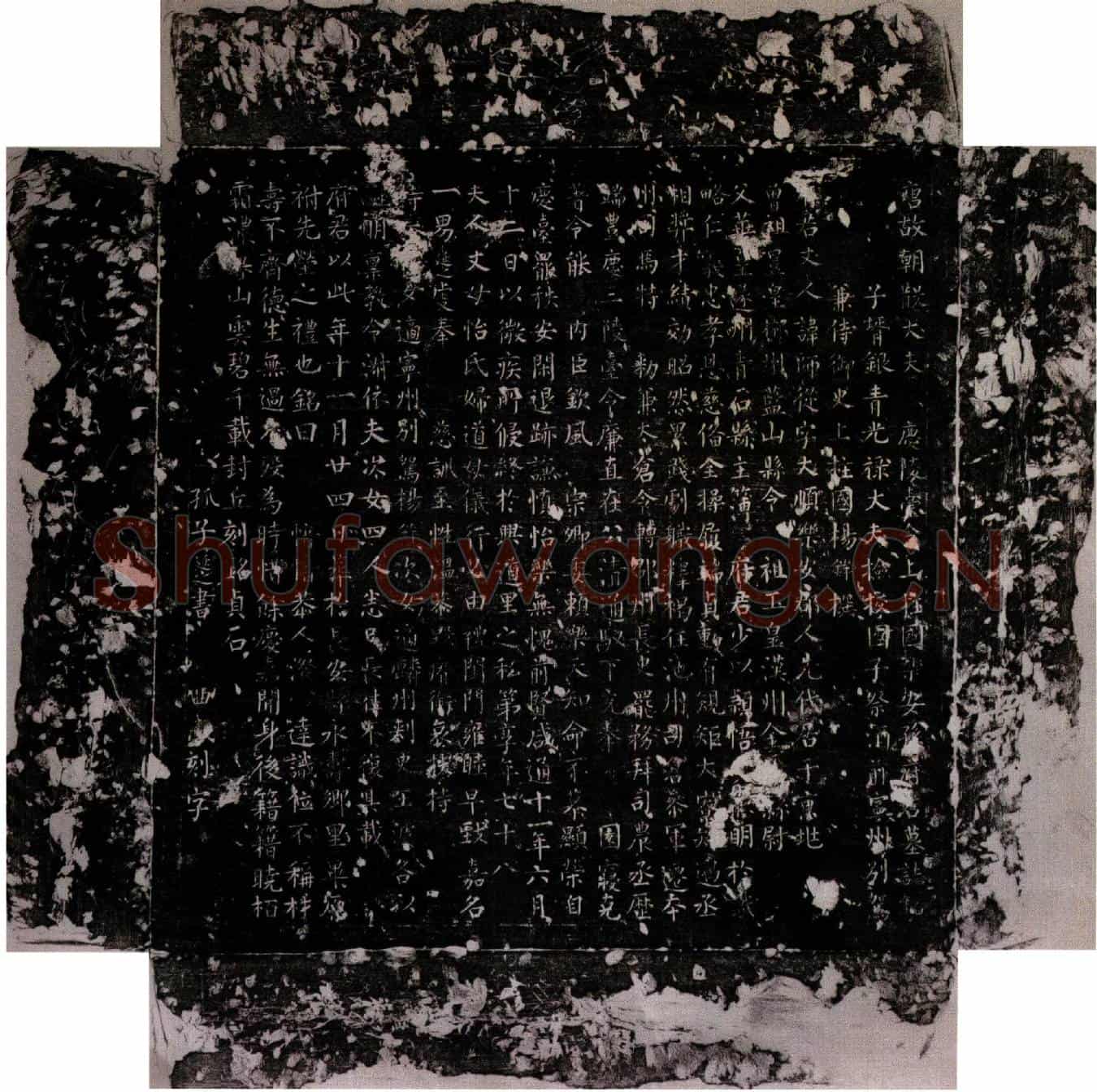 唐孙师从墓誌(唐故朝散大夫庆陵台令上柱国乐安孙府君墓誌铭)