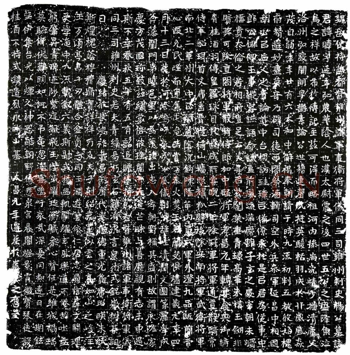 北朝杨暐墓誌(魏故使持节都督雍州诸军事卫将军仪同三司雍州刺史杨公墓誌)