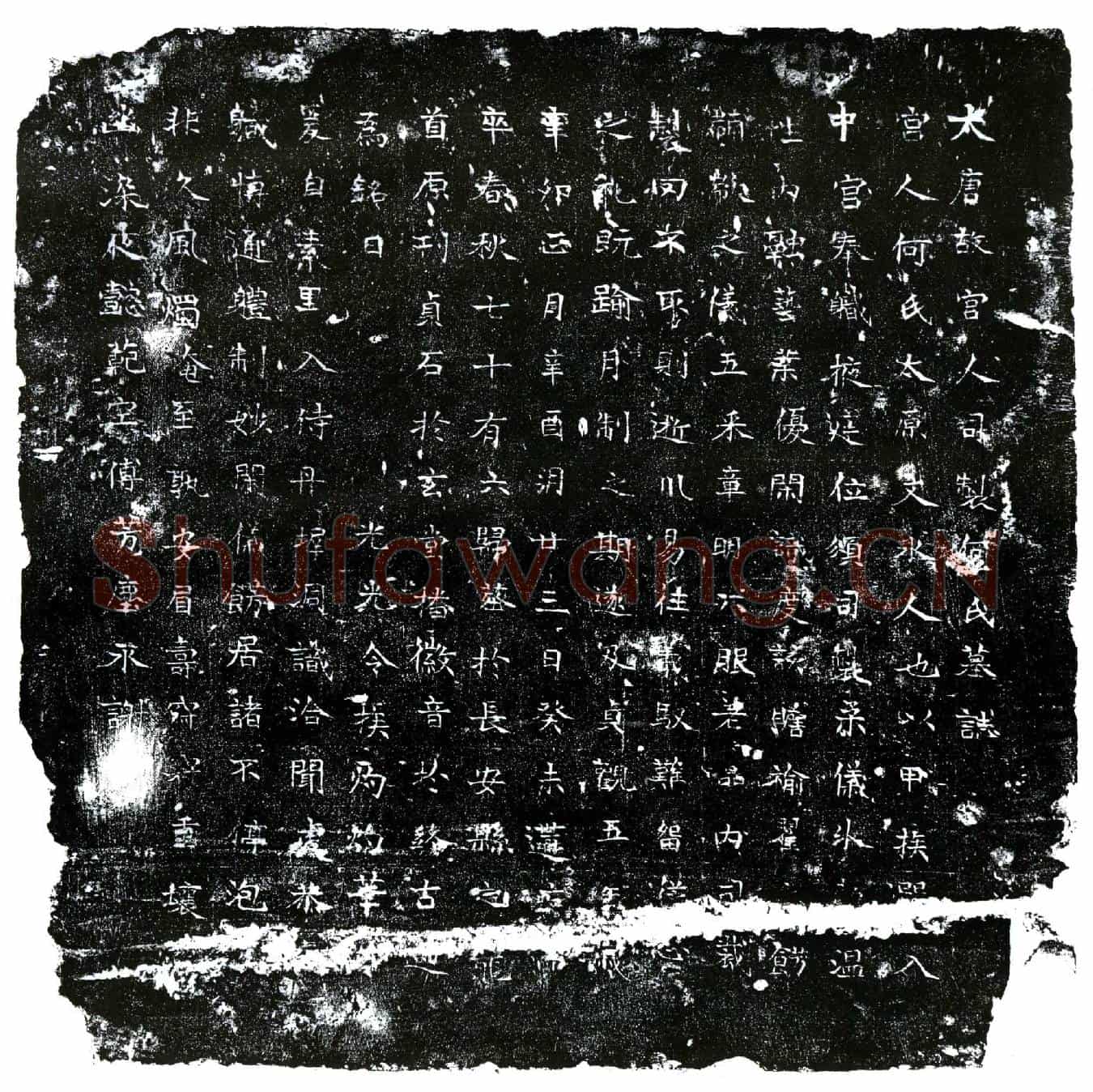 唐宫人何氏墓誌(大唐故宫人司製何氏墓誌)