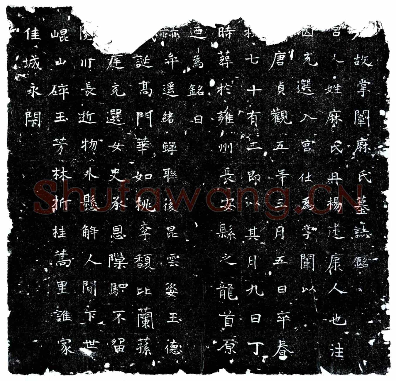 唐宫人麻氏墓誌(唐故掌闱麻氏墓誌铭)