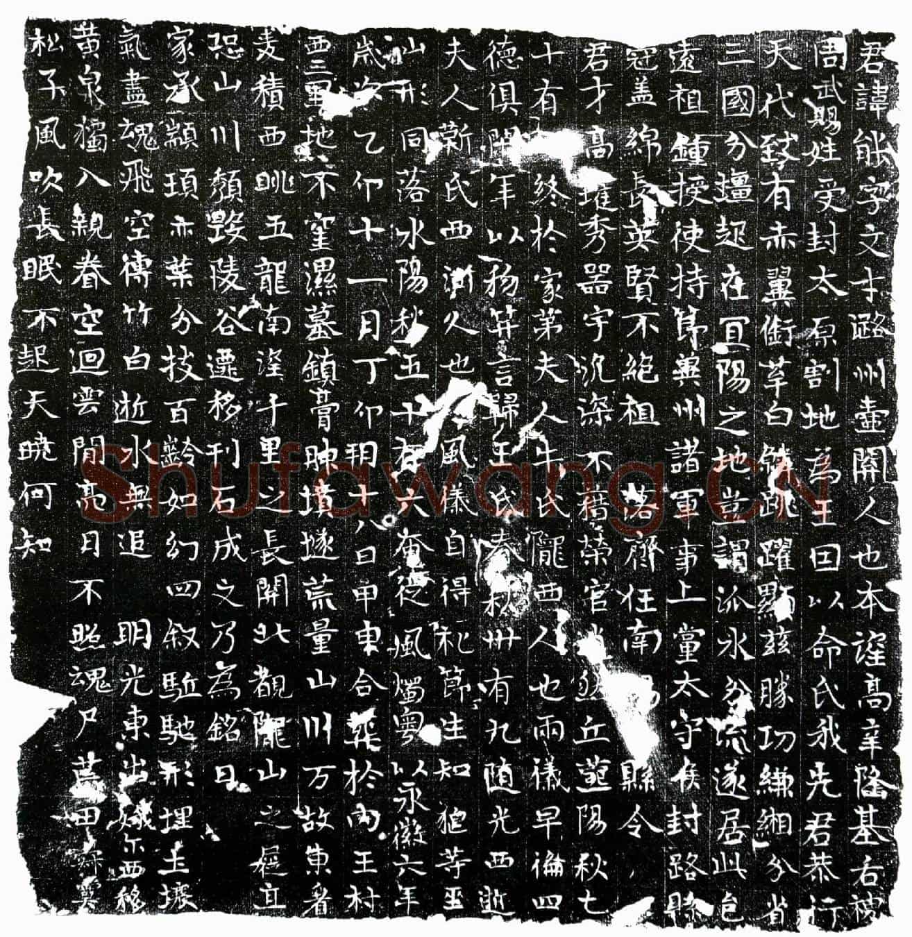 唐王能墓誌