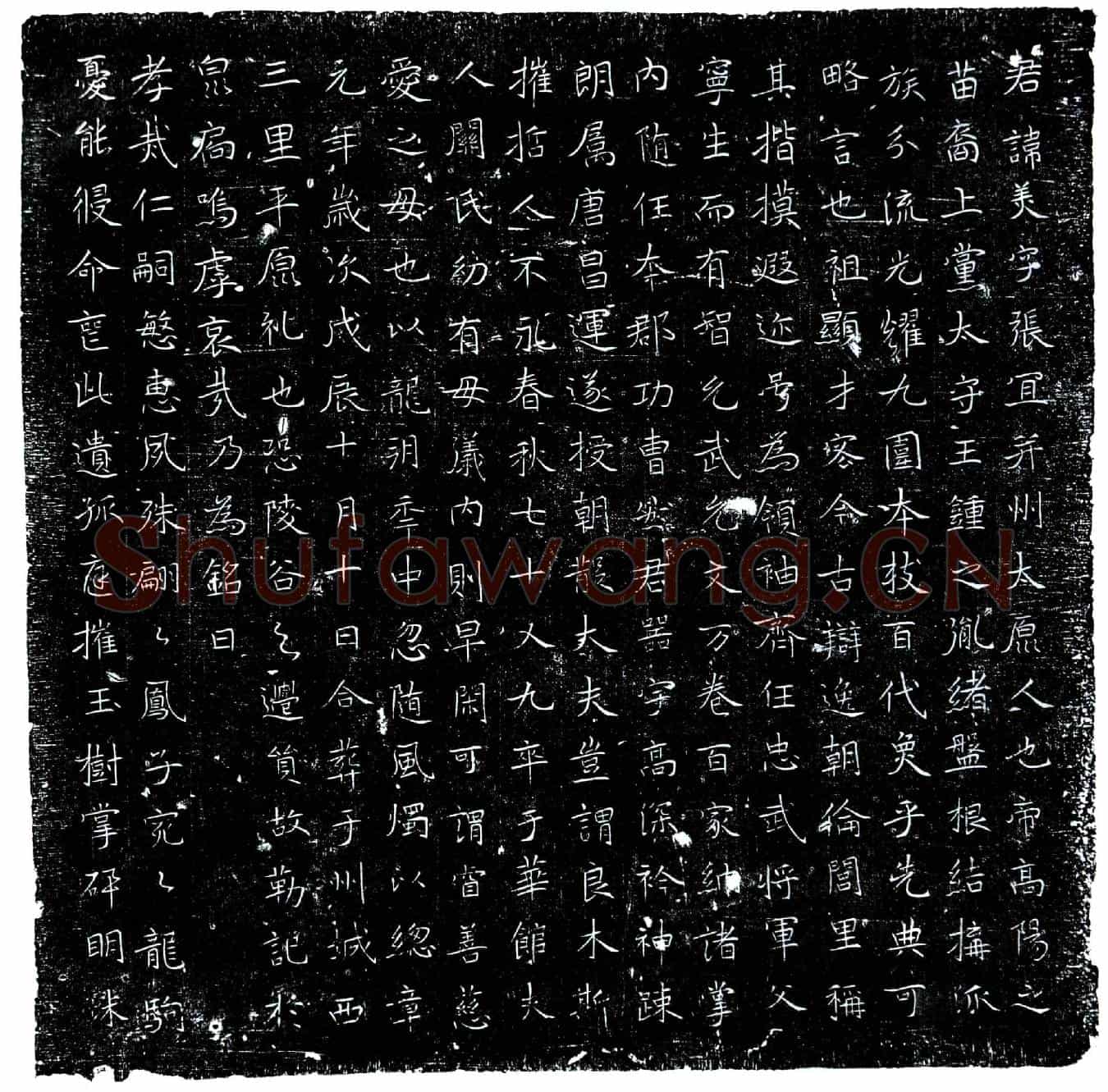 唐王美墓誌