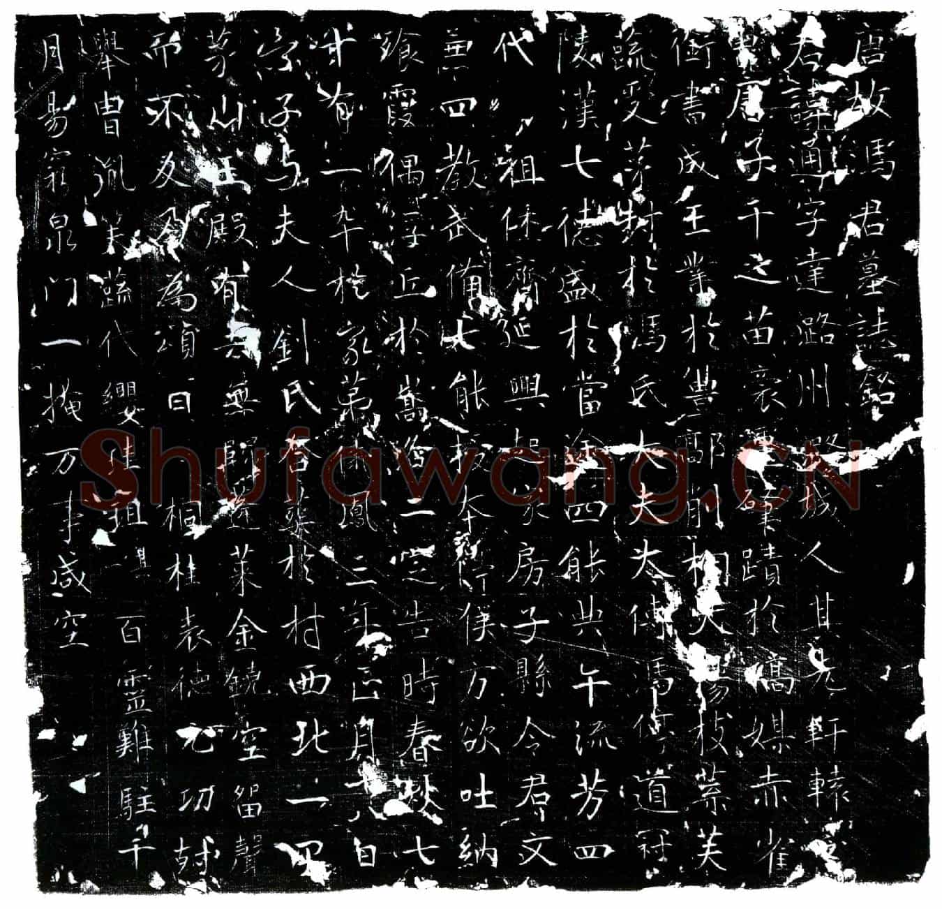唐冯通墓誌(唐故冯君墓誌铭)