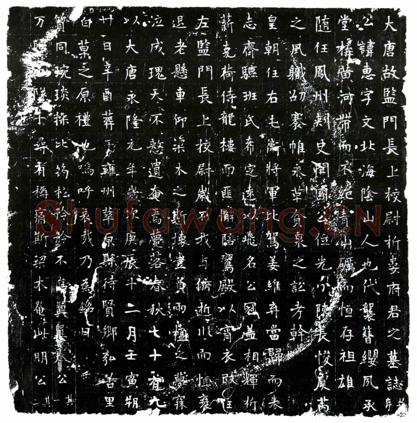唐折娄惠墓誌(大唐故监门长上校尉折娄府君之墓誌并序)