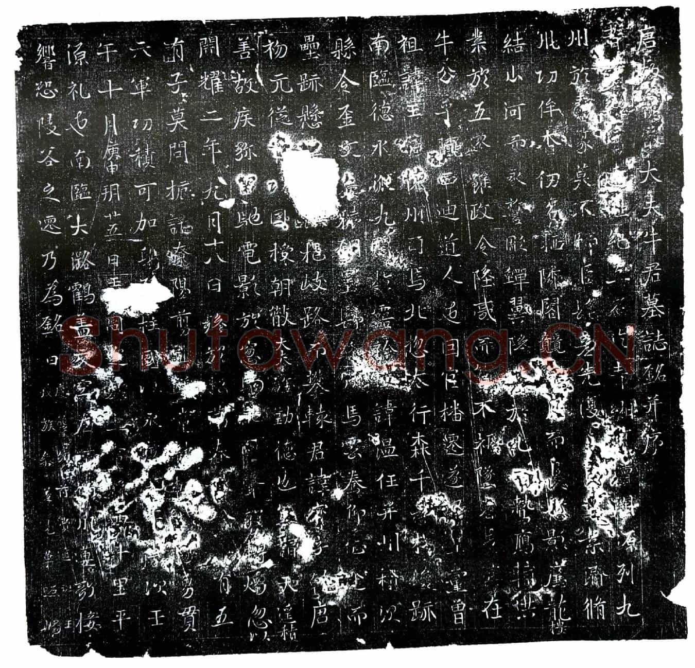 唐牛寳墓誌(唐故朝散大夫牛君墓誌铭并序)