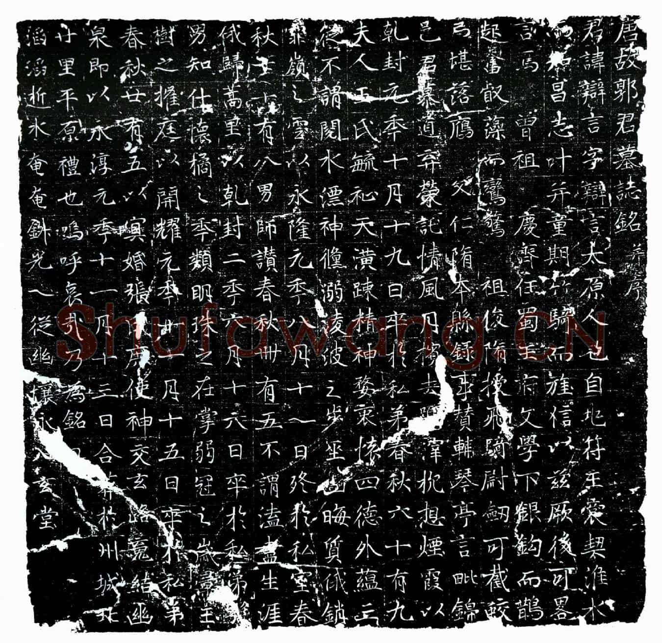 唐郭辩言墓誌(唐故郭君墓誌铭并序)