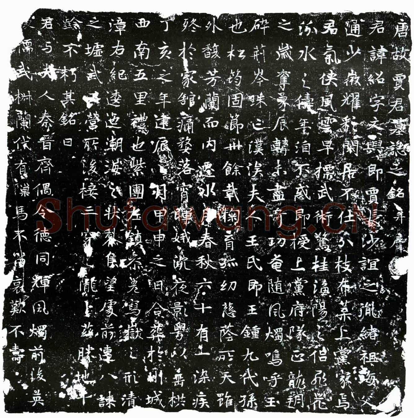 唐贾绍墓誌(唐故贾君墓誌之铭并序)