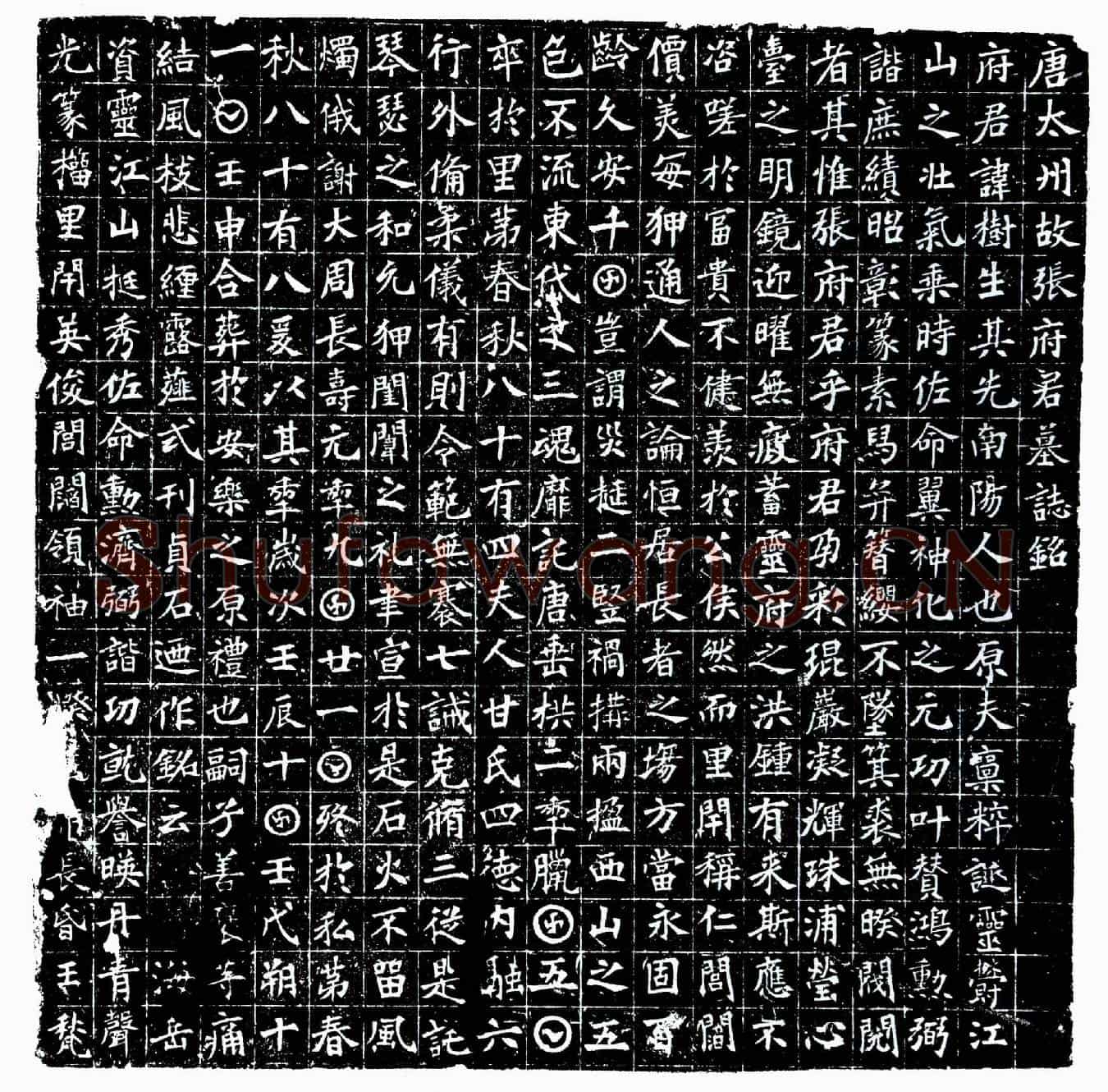 唐张树生墓誌(唐太州故张府君墓誌铭)