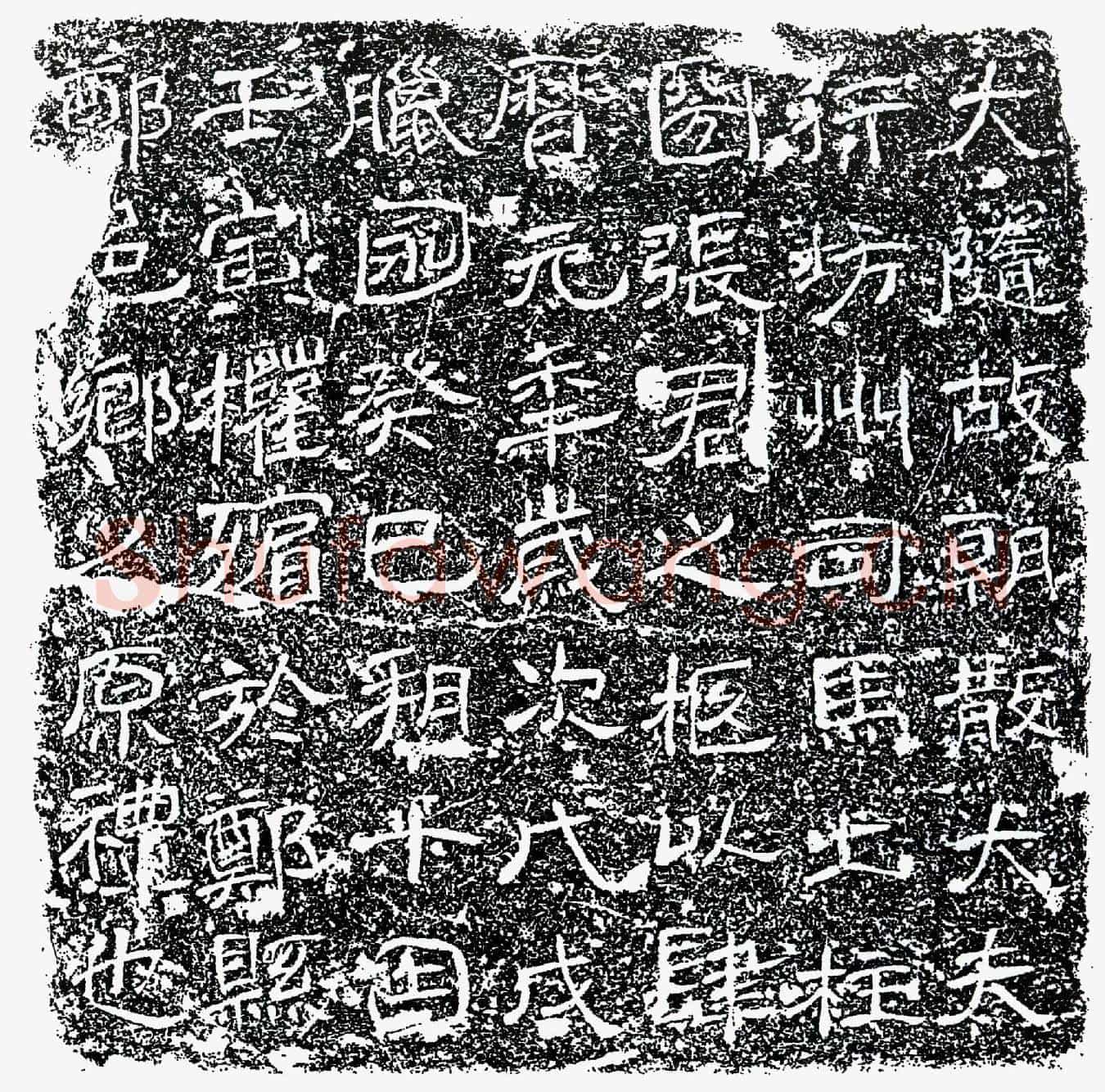 唐张君墓誌