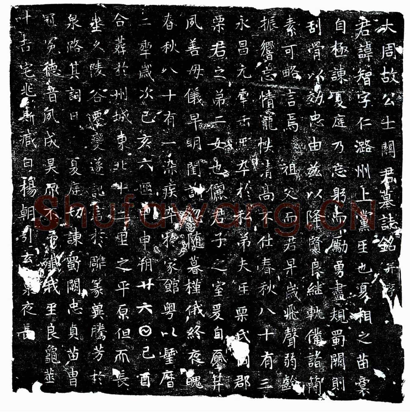 唐关智墓誌(大周故公士关君墓誌铭并序)