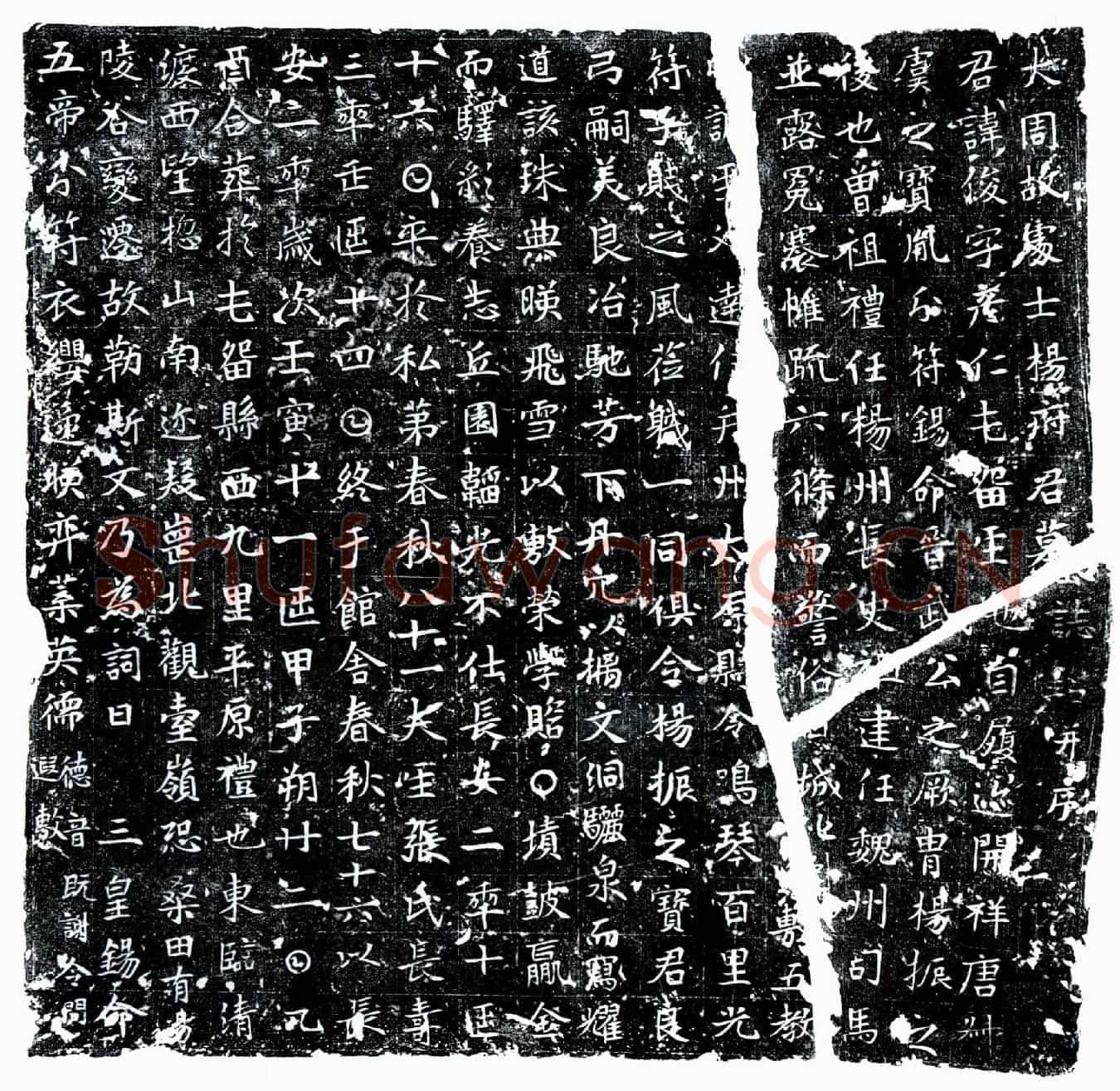 唐杨俊、杨俊妻张氏墓誌(大周故处士杨府君墓誌铭并序)