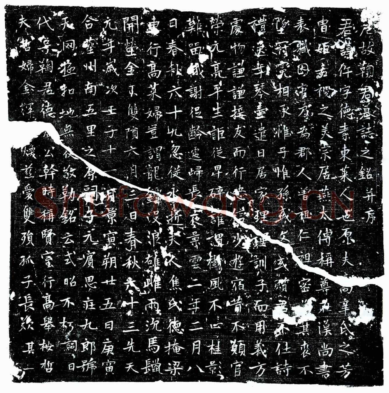 唐鞠仵墓誌(唐故鞠君墓誌之铭并序)