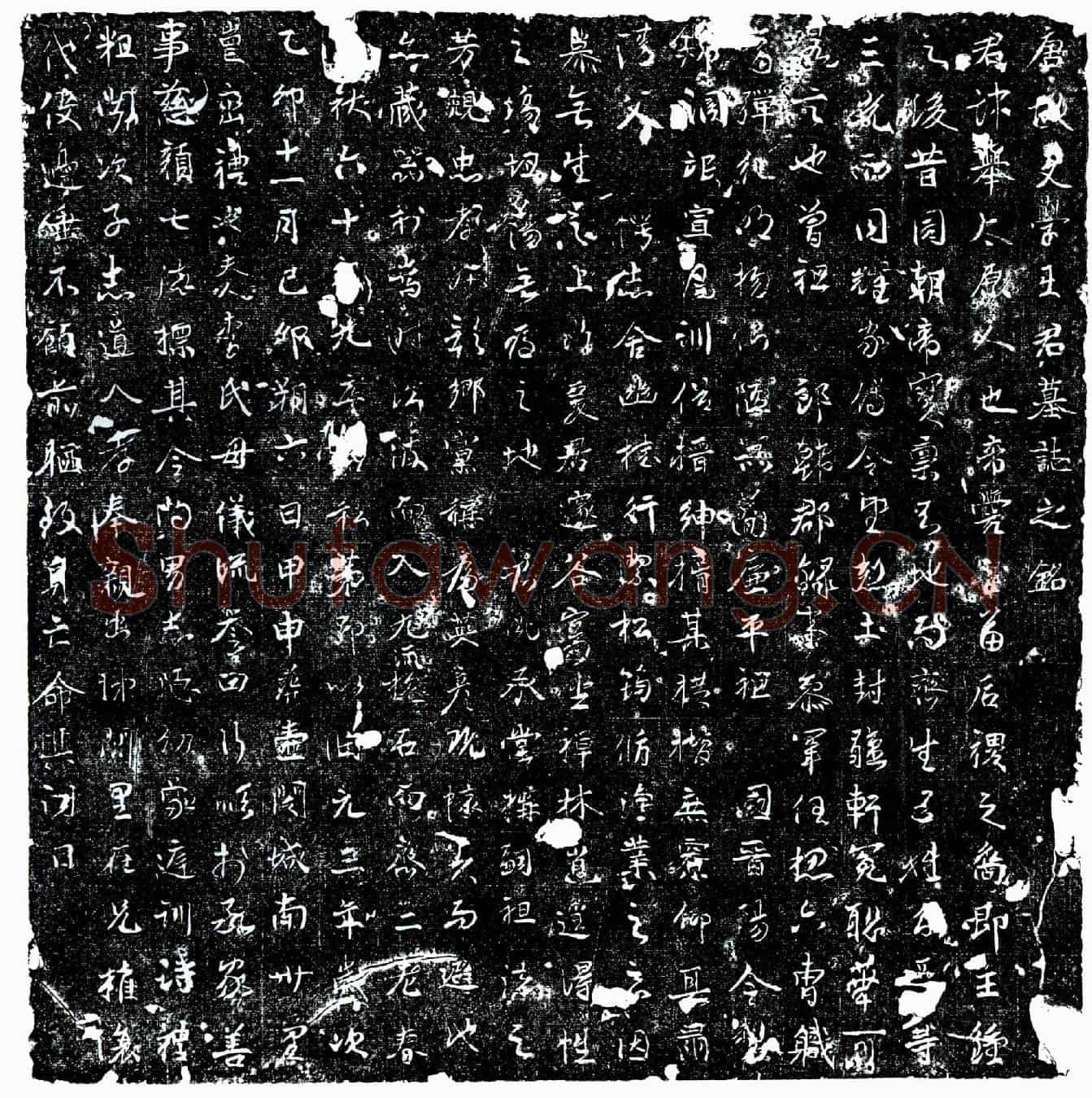 唐王举墓誌(唐故文学王君墓誌之铭)