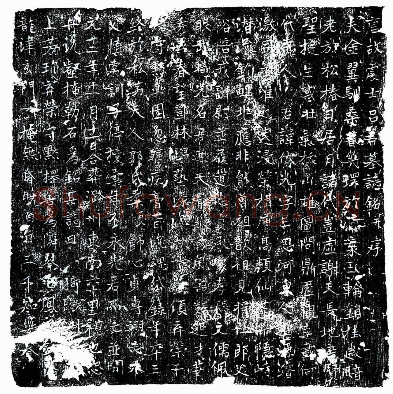 唐吕伏光墓誌(唐故处士吕君墓誌铭并序)