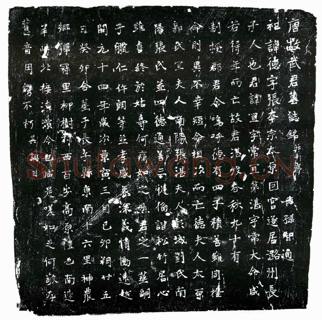 唐武宜墓誌(唐故武君墓誌铭并序)