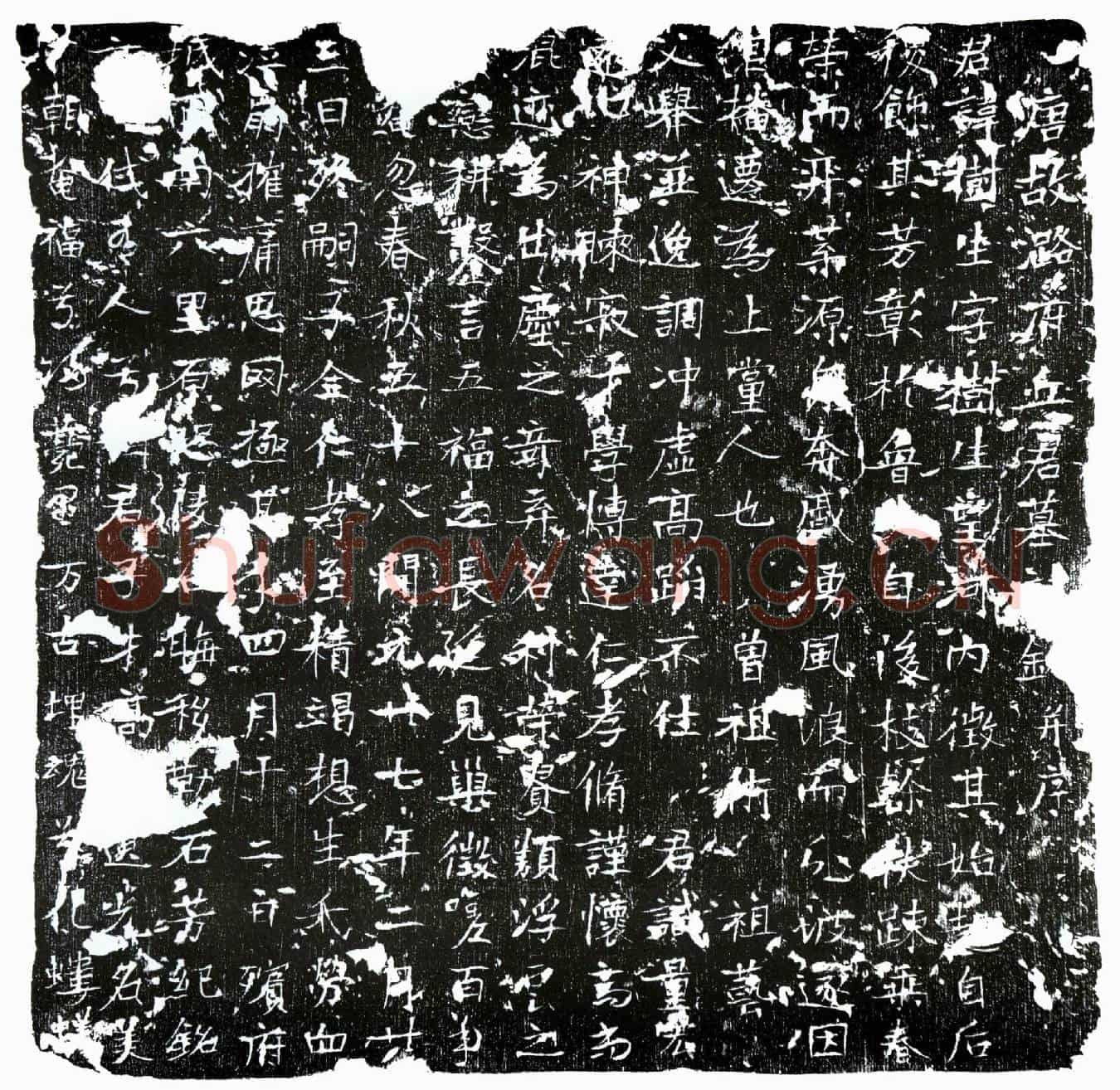 唐丘树生墓誌(唐故潞府丘君墓誌铭并序)