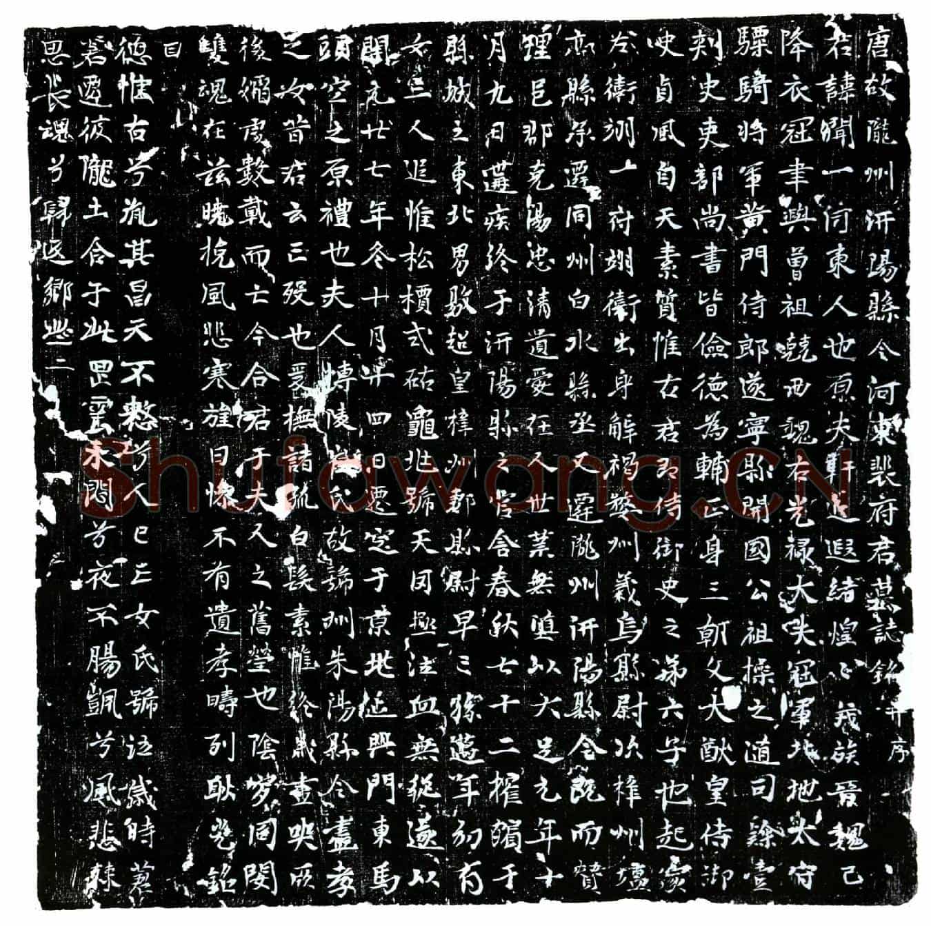 唐裴闻一墓誌(唐故陇州汧阳县令河东裴府君墓誌铭并序)