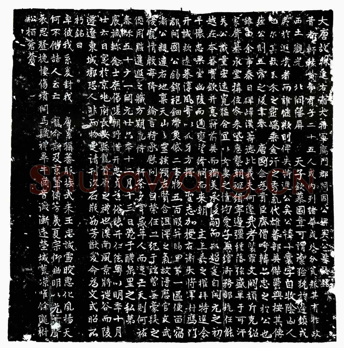 唐俾失十囊墓誌(大唐故特进右卫大将军鴈门郡开国公俾失公墓誌铭并序)
