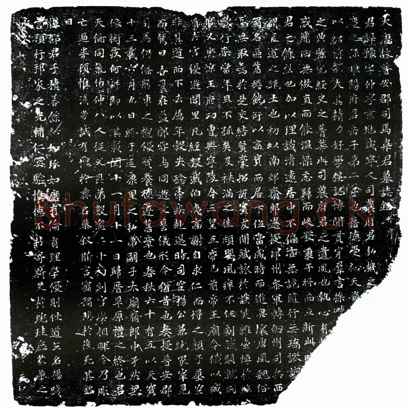唐韦豫墓誌(大唐故普安郡司马韦君墓誌铭并序)