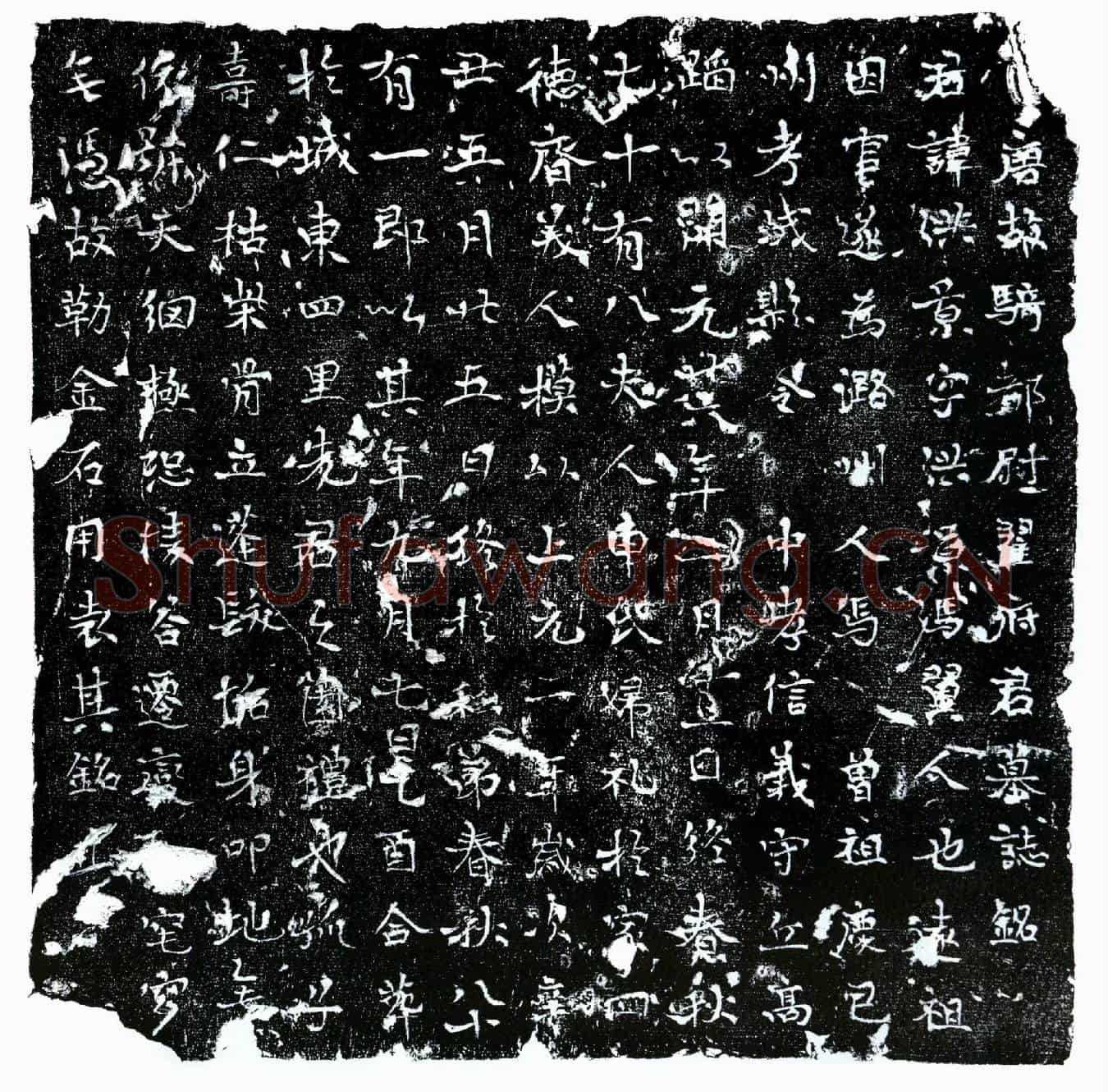 唐翟洪景墓誌(大唐故骑都尉翟府君墓誌铭)