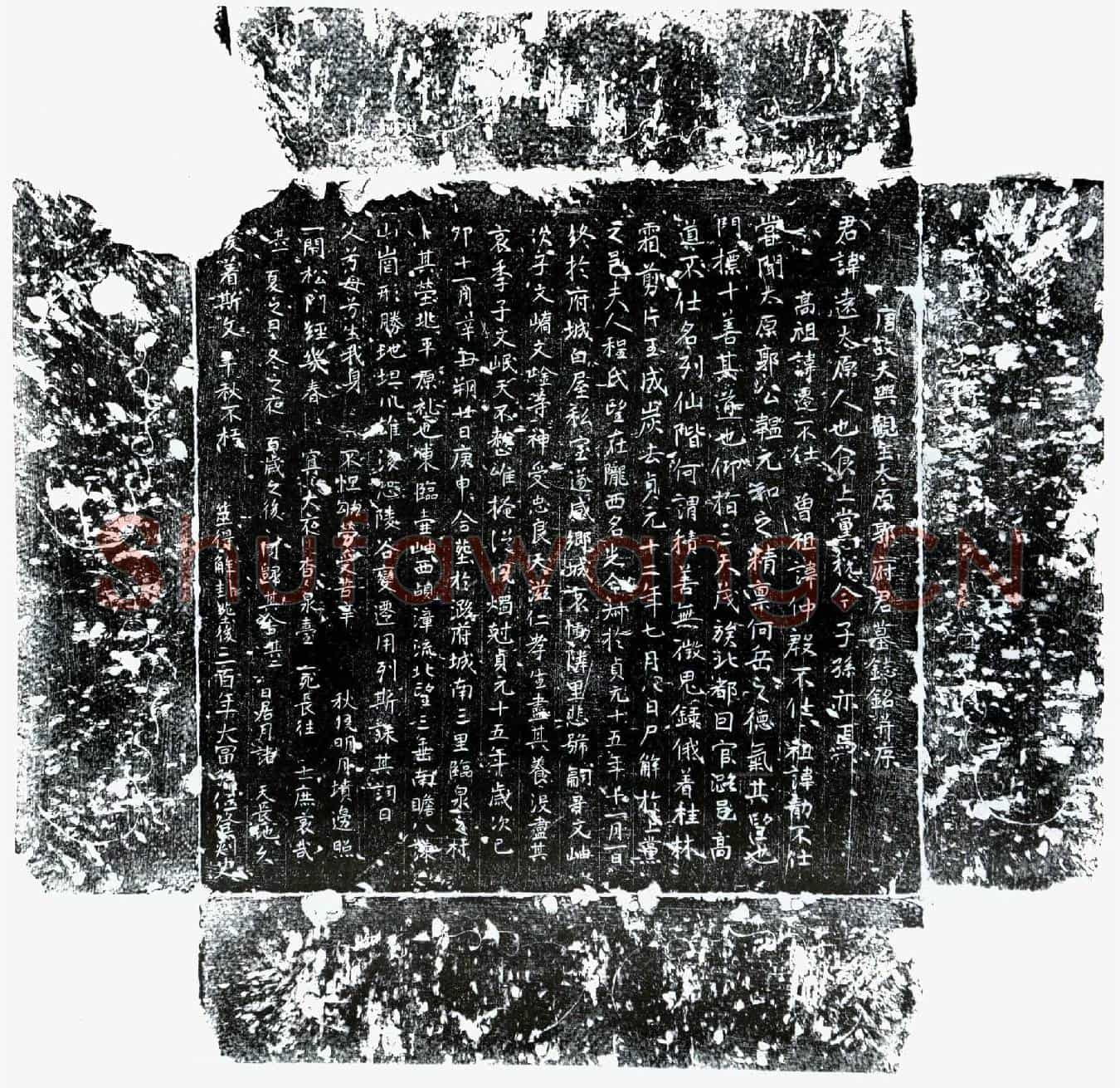 唐郭远墓誌(唐故天兴观主太原郭府君墓誌铭并序)