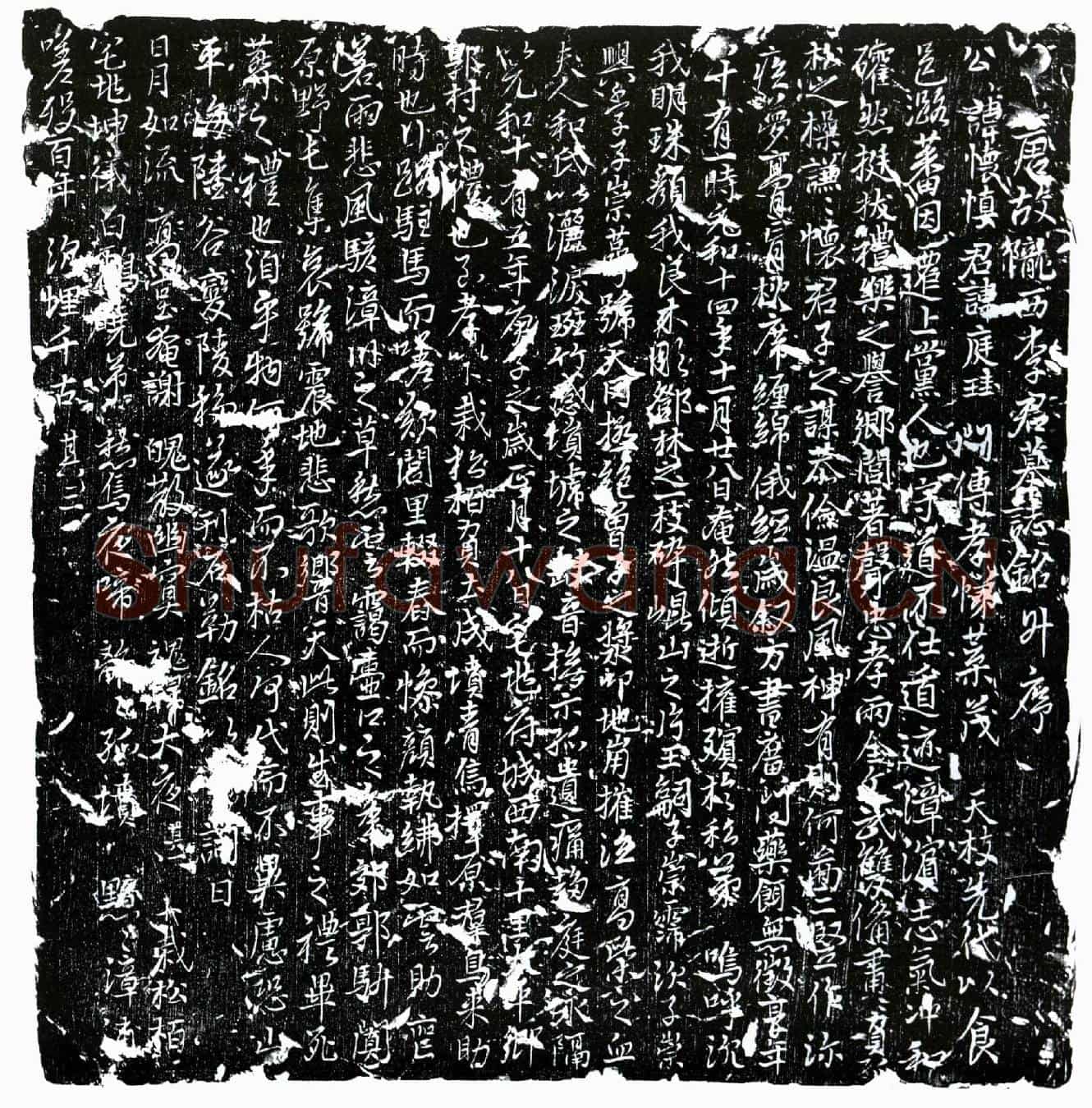 唐李怀慎墓誌(唐故陇西李君墓誌铭并序)