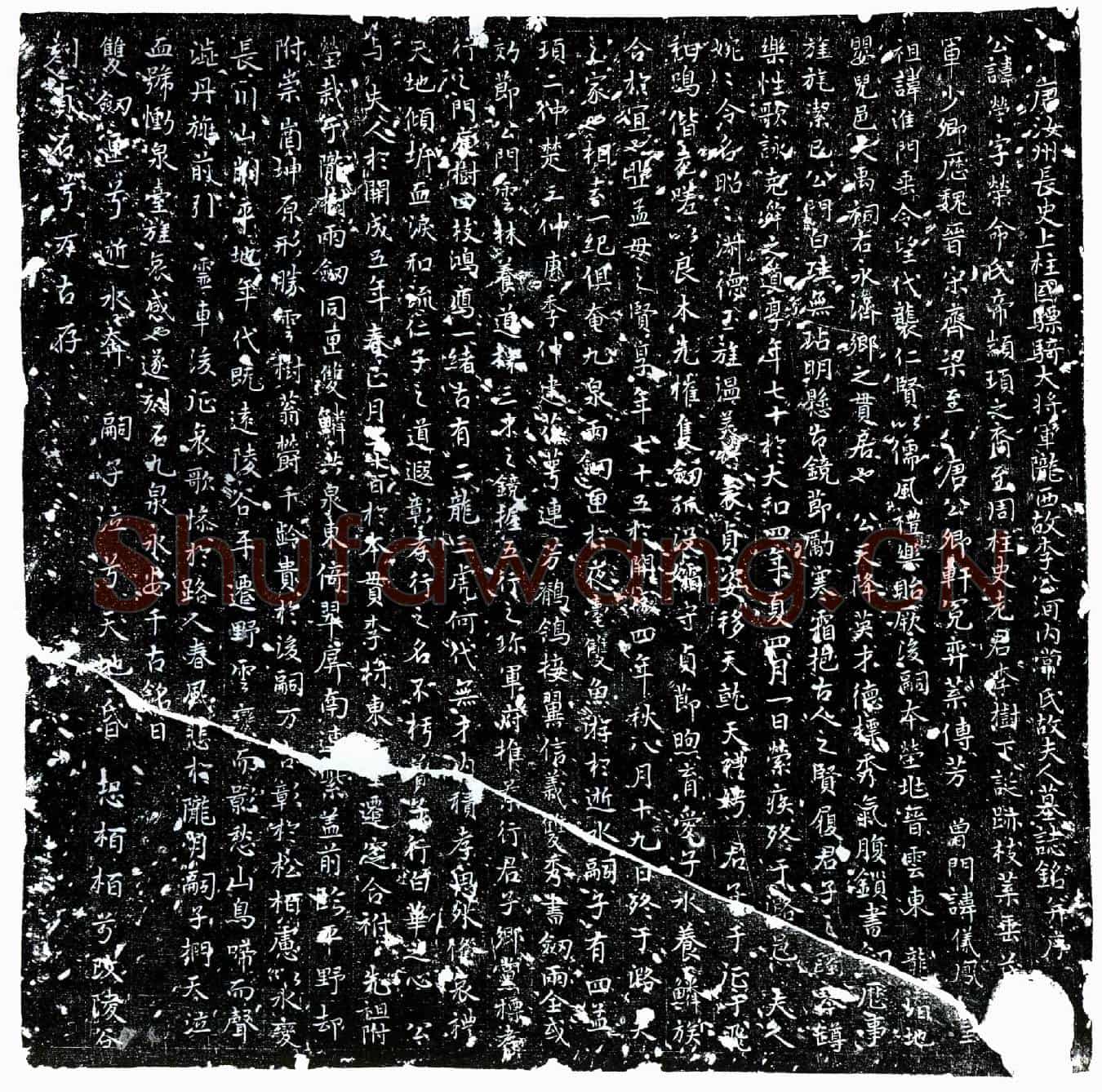 唐李荣、李荣妻常氏墓誌(唐汝州长史上柱国骠骑大将军陇西故李公河内常氏故夫人墓誌铭并序)