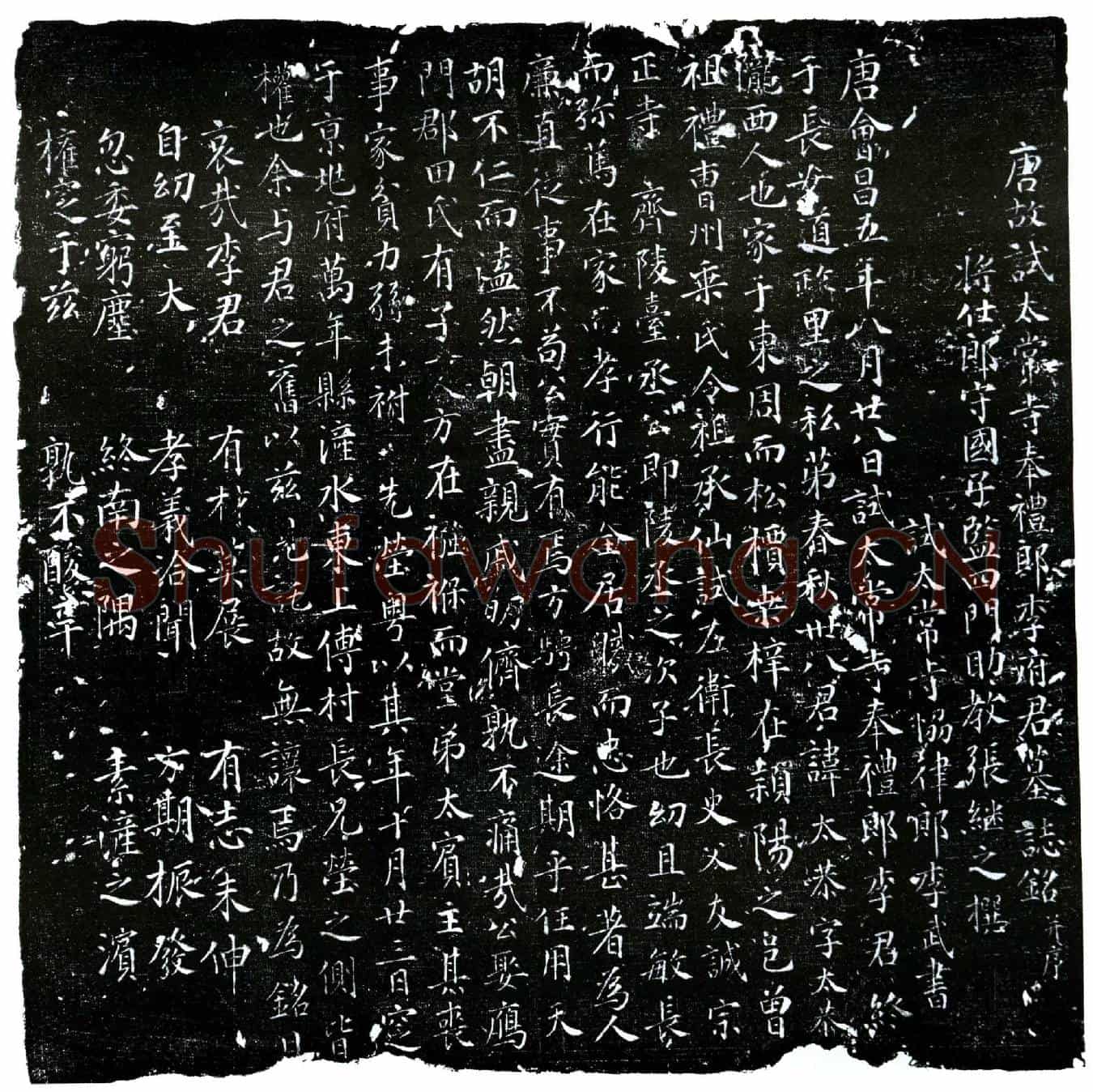 唐李太恭墓誌(唐故试太常寺奉礼郎李府君墓誌铭并序)